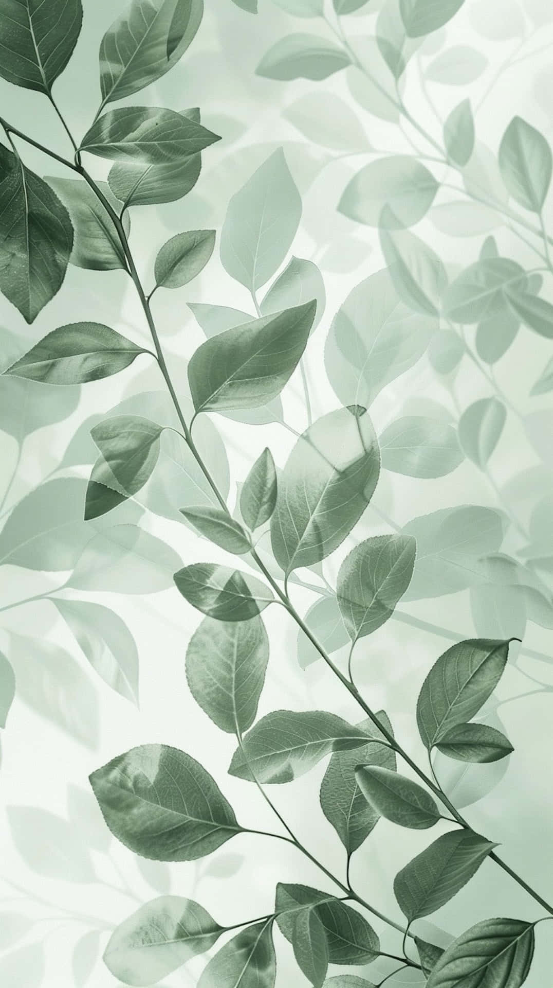 sage green, mint, botanical pattern, Full HD Phone Wallpaper