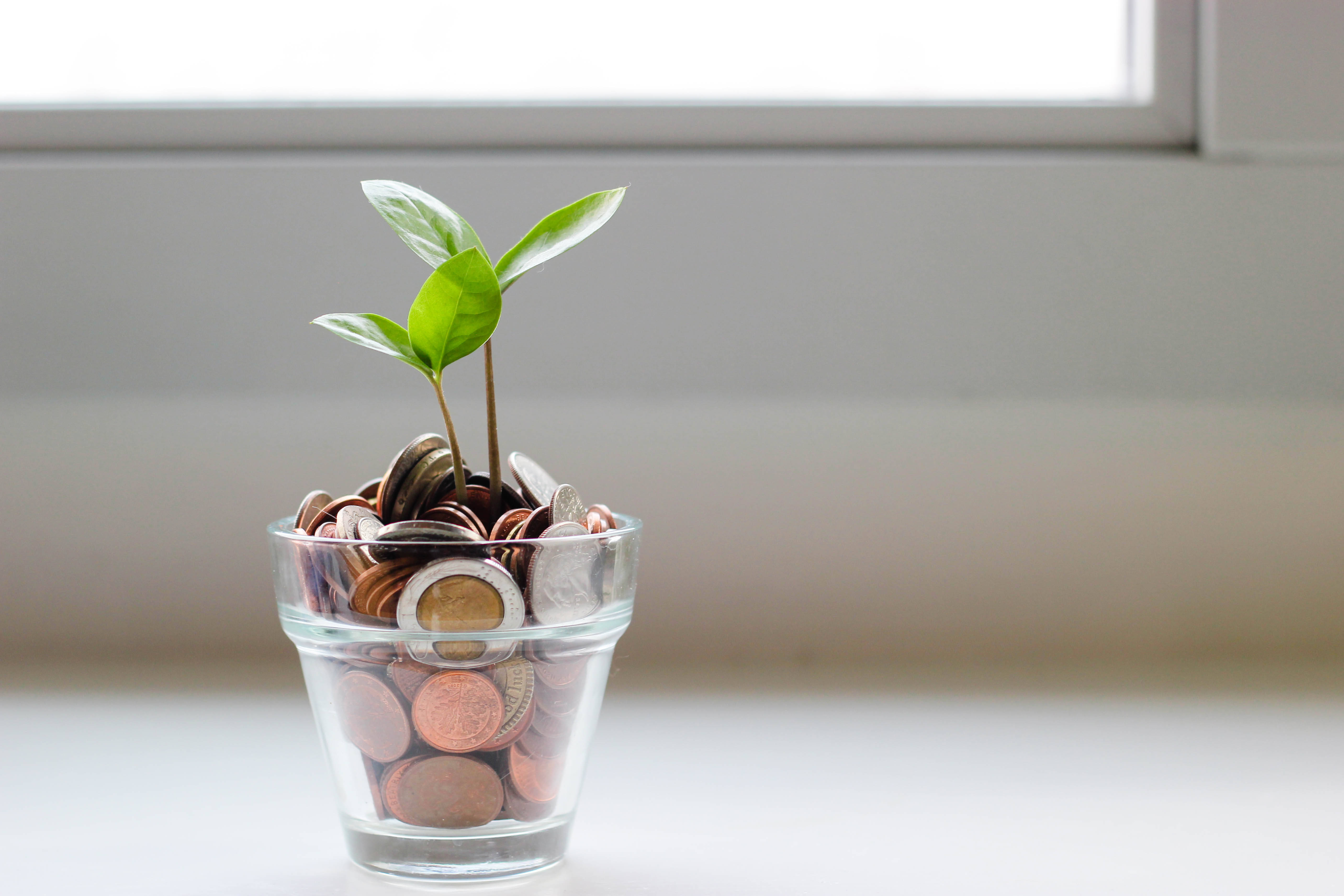 green sprout, assorted coins, clear glass cup, 5K Desktop Wallpaper