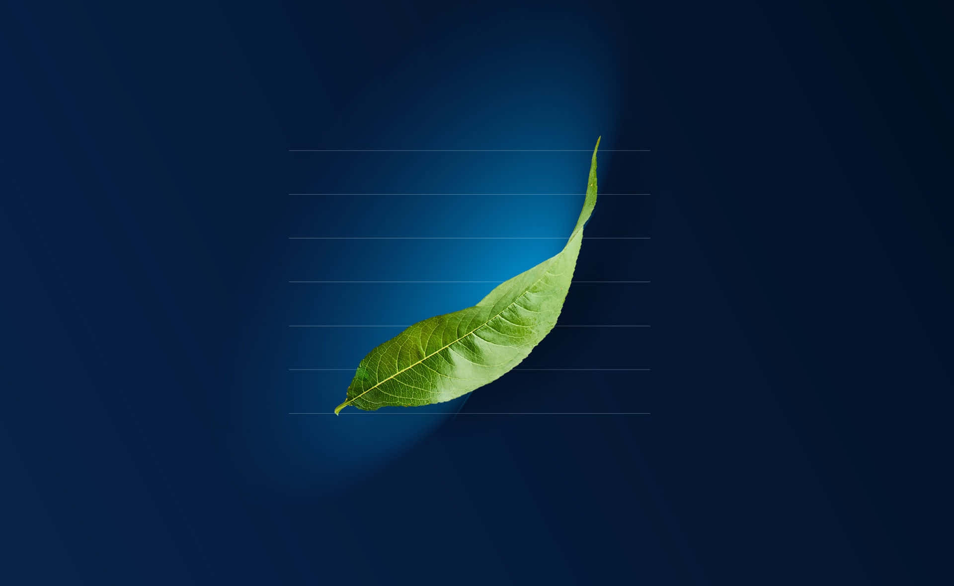 Green Finance, vibrant green leaf, deep blue gradient background, Full HD Desktop Wallpaper