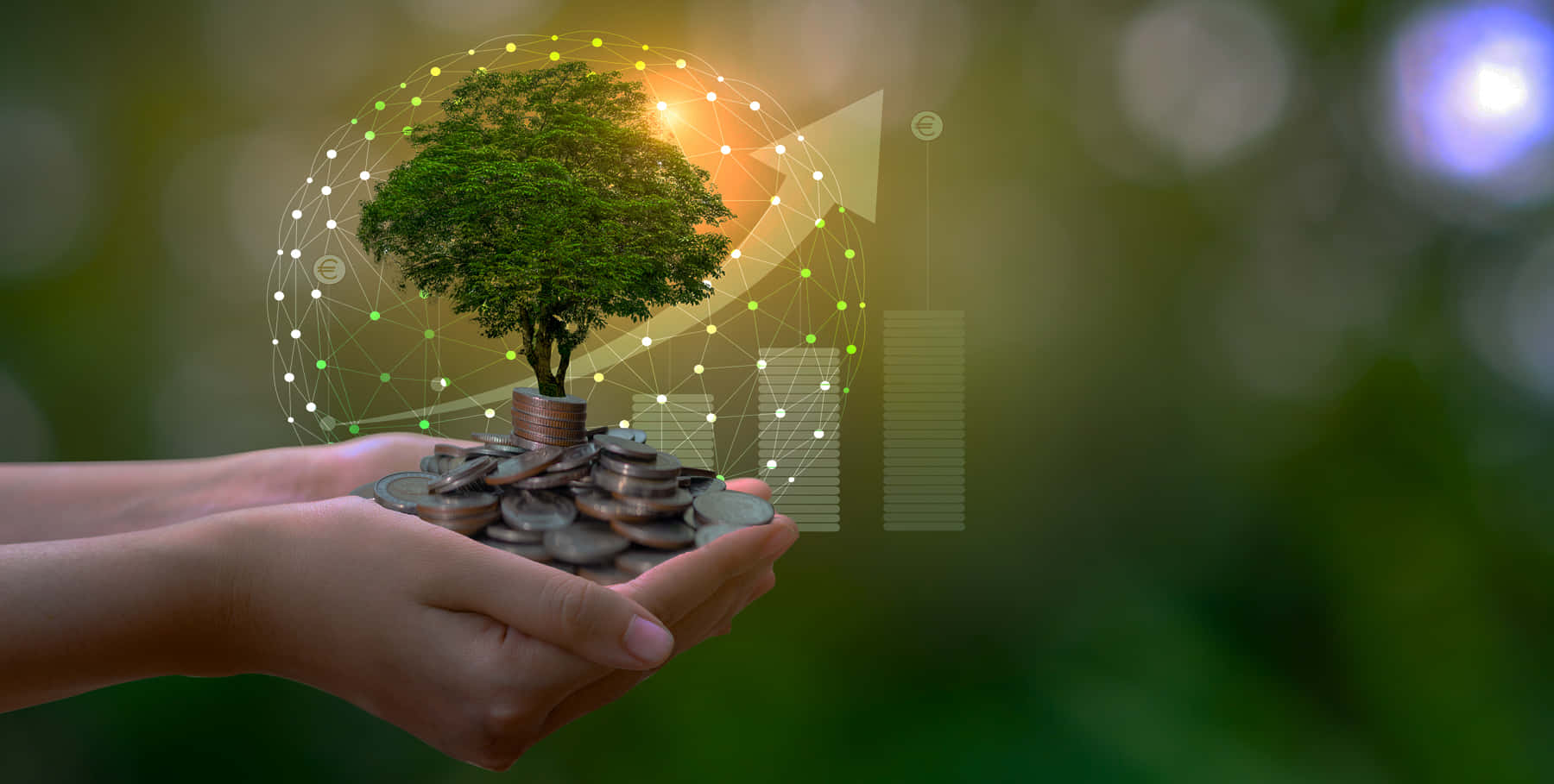 Green Finance, tree growing from coins, glowing digital growth chart, HD Desktop Wallpaper