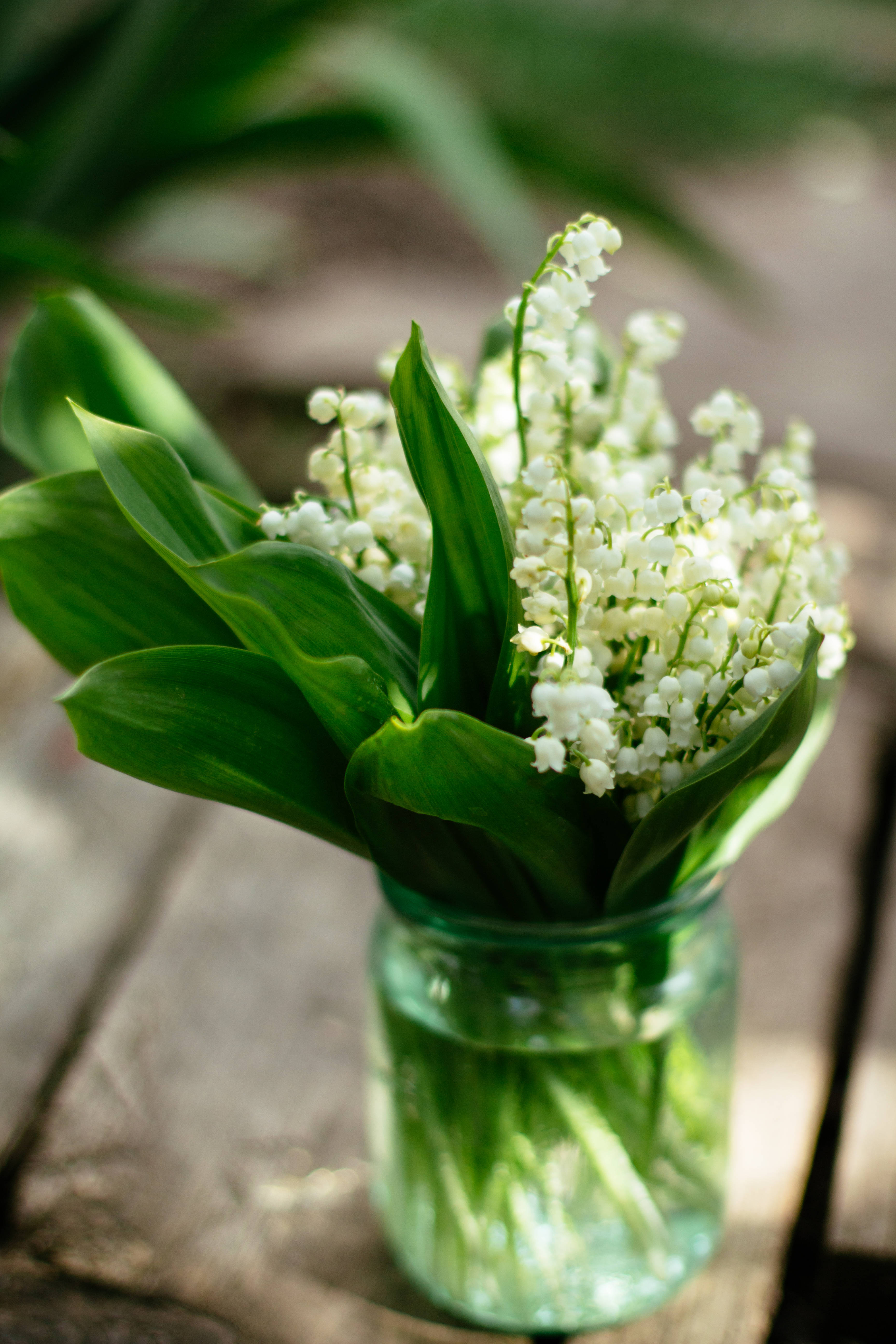 white lily of the valley, green glass jar, weathered wooden surface, 5K Phone Wallpaper