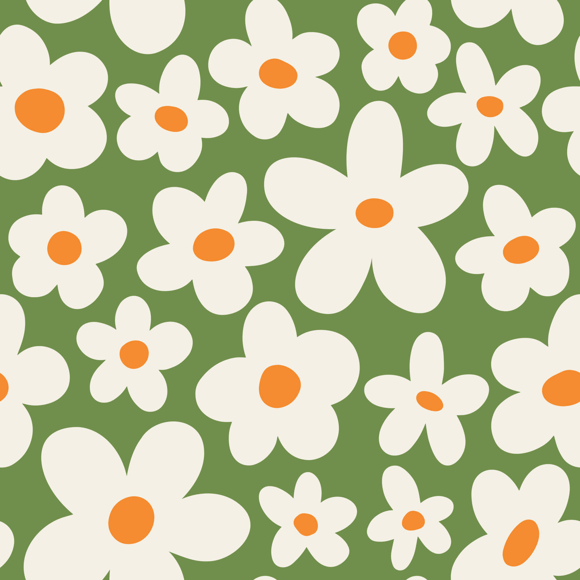 white daisies, orange centers, green background, Full HD Desktop Wallpaper