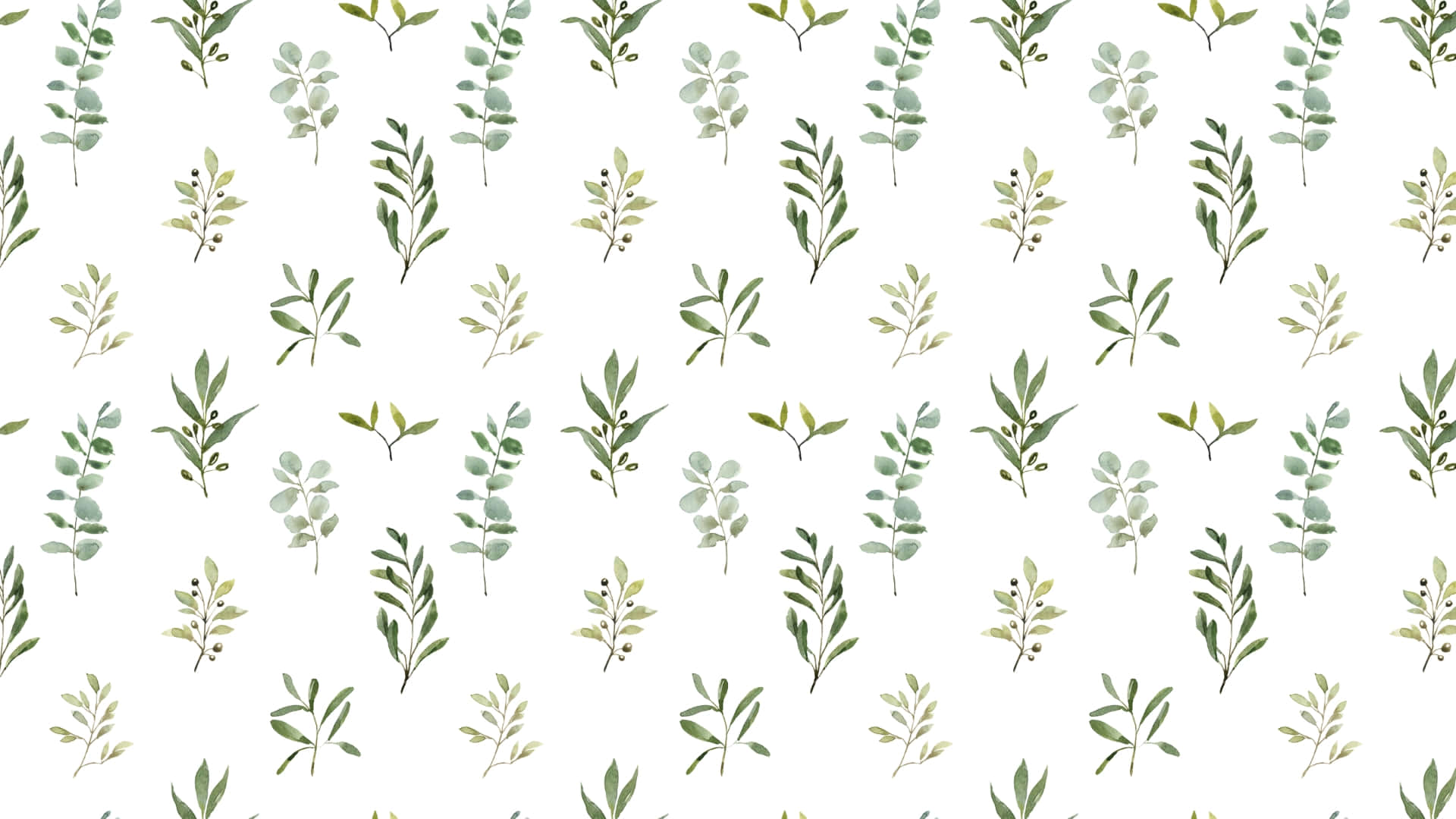 sage green, floral pattern, eucalyptus branches, Full HD Desktop Wallpaper
