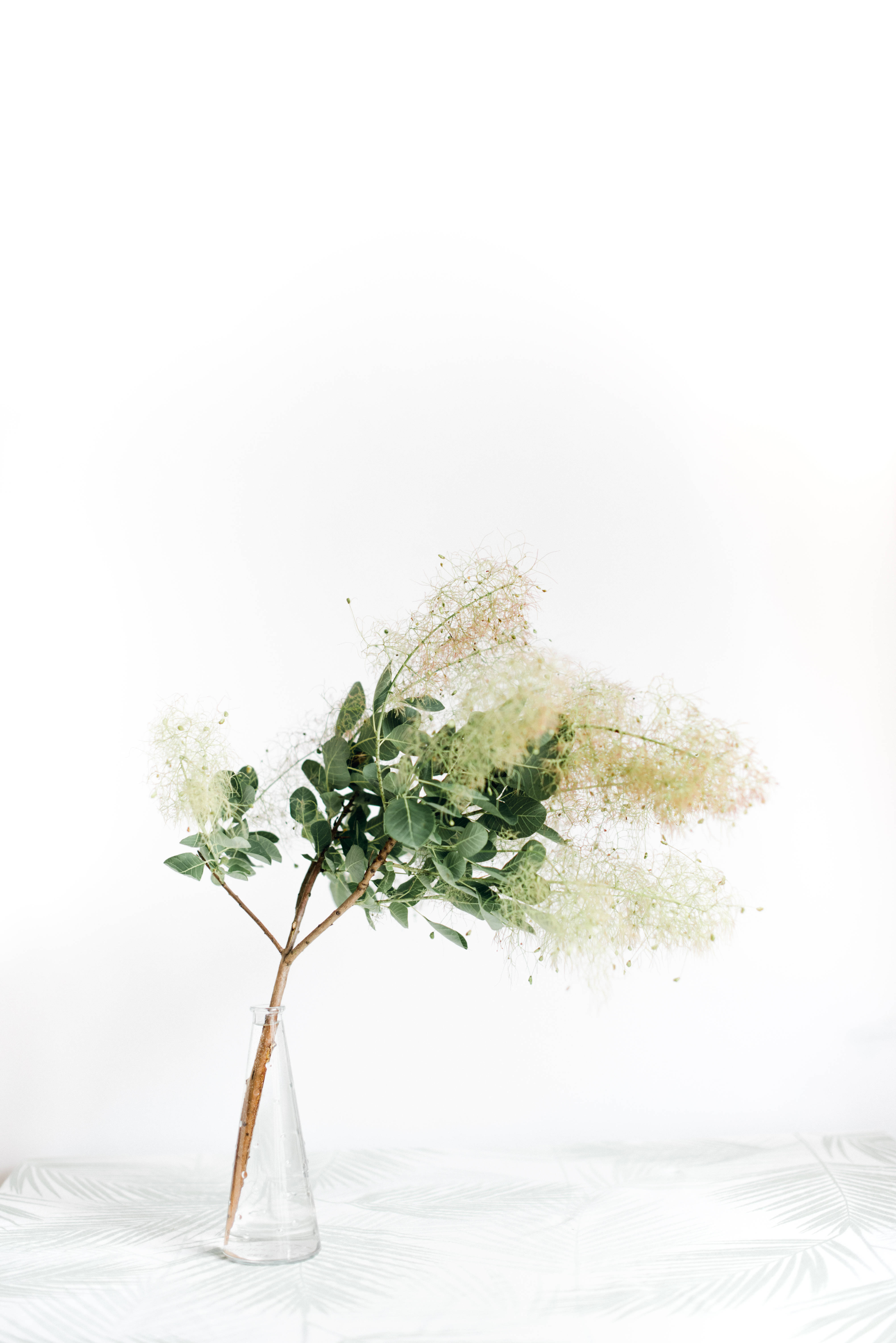 Green Floral Small Vase, clear glass vase, green leaves, 5K Phone Wallpaper