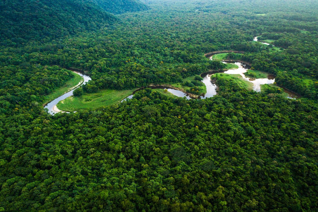 Green Forest, emerald jungle, winding river, HD Desktop Wallpaper