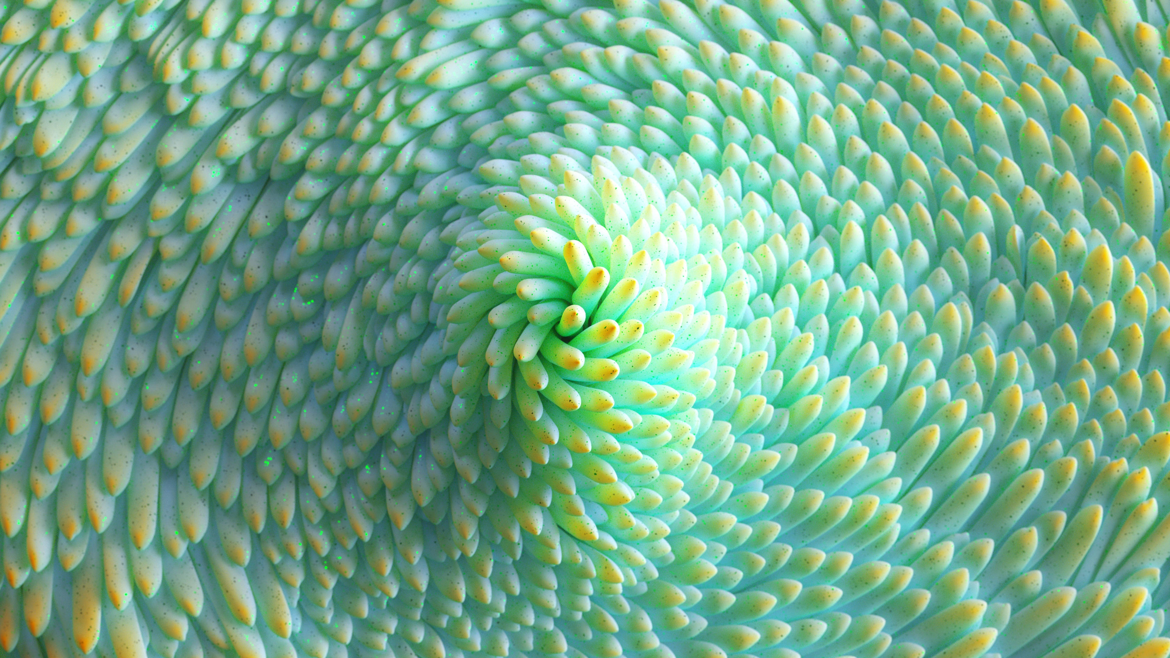 4D Ultra HD, green succulent, spiraling green and yellow leaves, 4K Desktop Wallpaper
