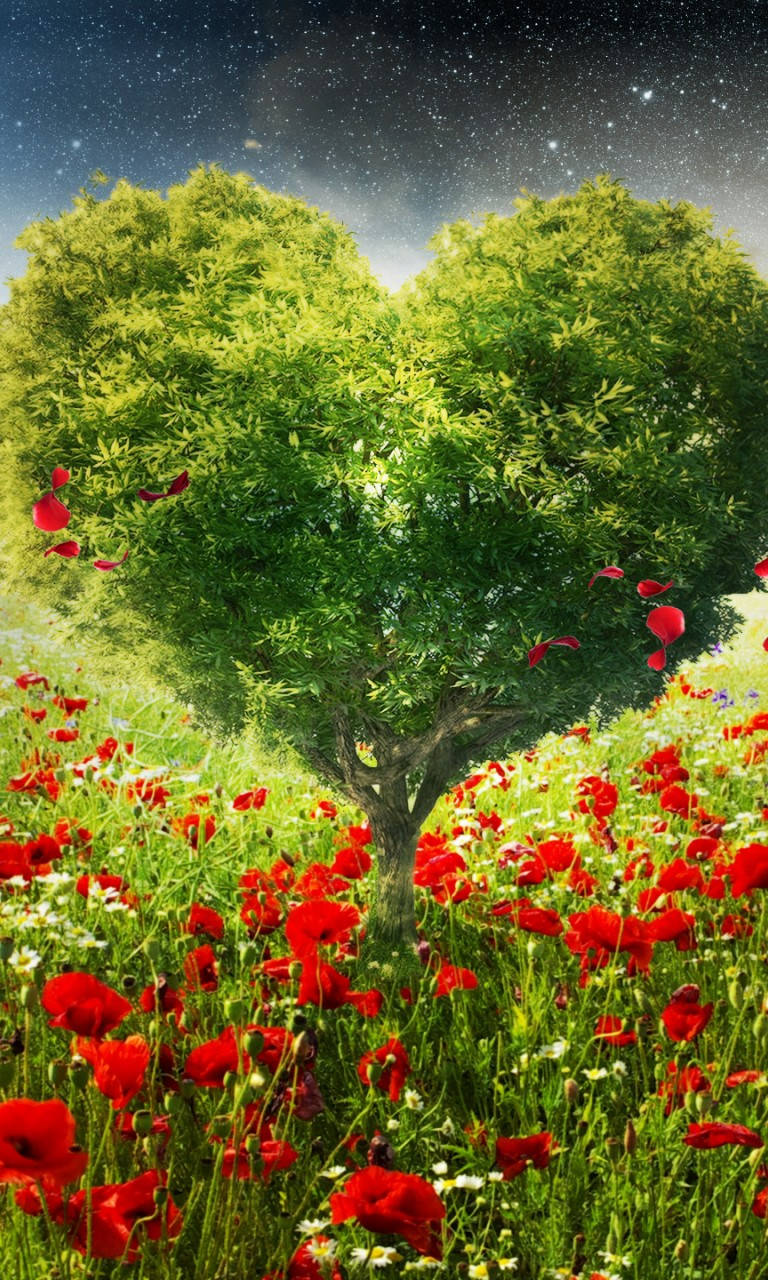 Green Heart Tree, heart-shaped tree, lush green leaves, HD Phone Wallpaper