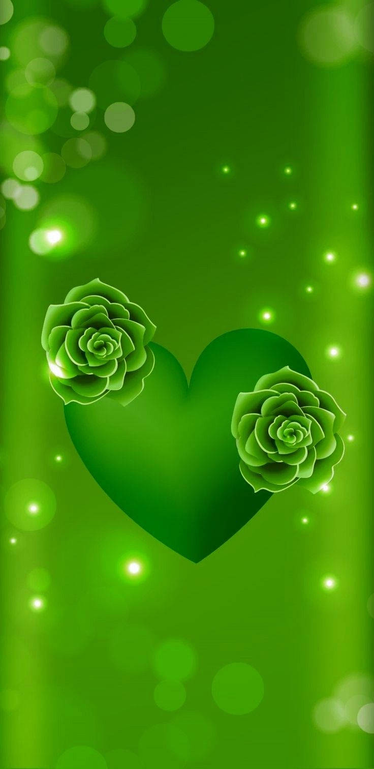 Green Heart, succulent roses, sparkling bokeh lights, HD Phone Wallpaper