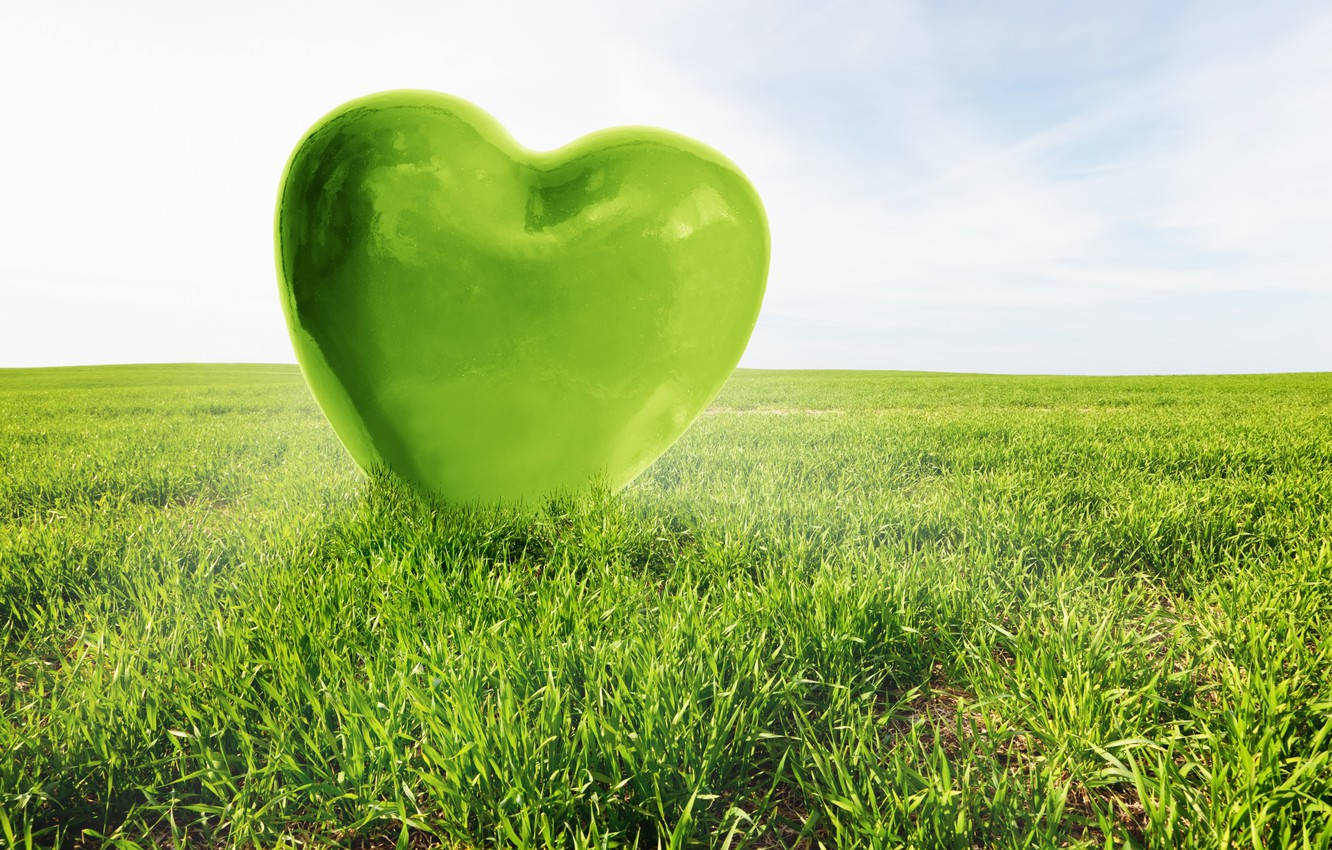 Green Heart, glossy green heart sculpture, sunlit grassy field, HD Desktop Wallpaper