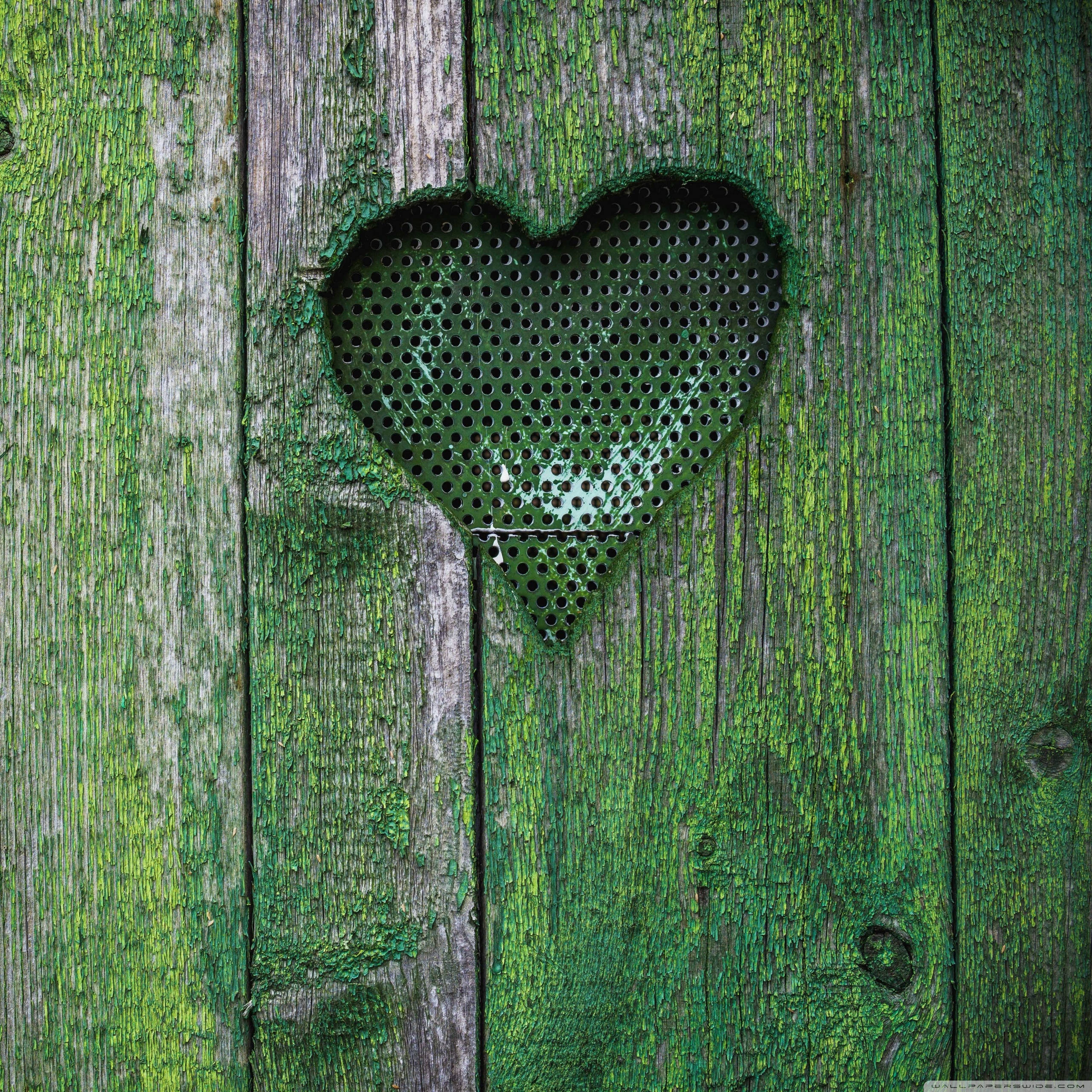 Green Heart, mossy, weathered green wooden door, 2K Desktop Wallpaper