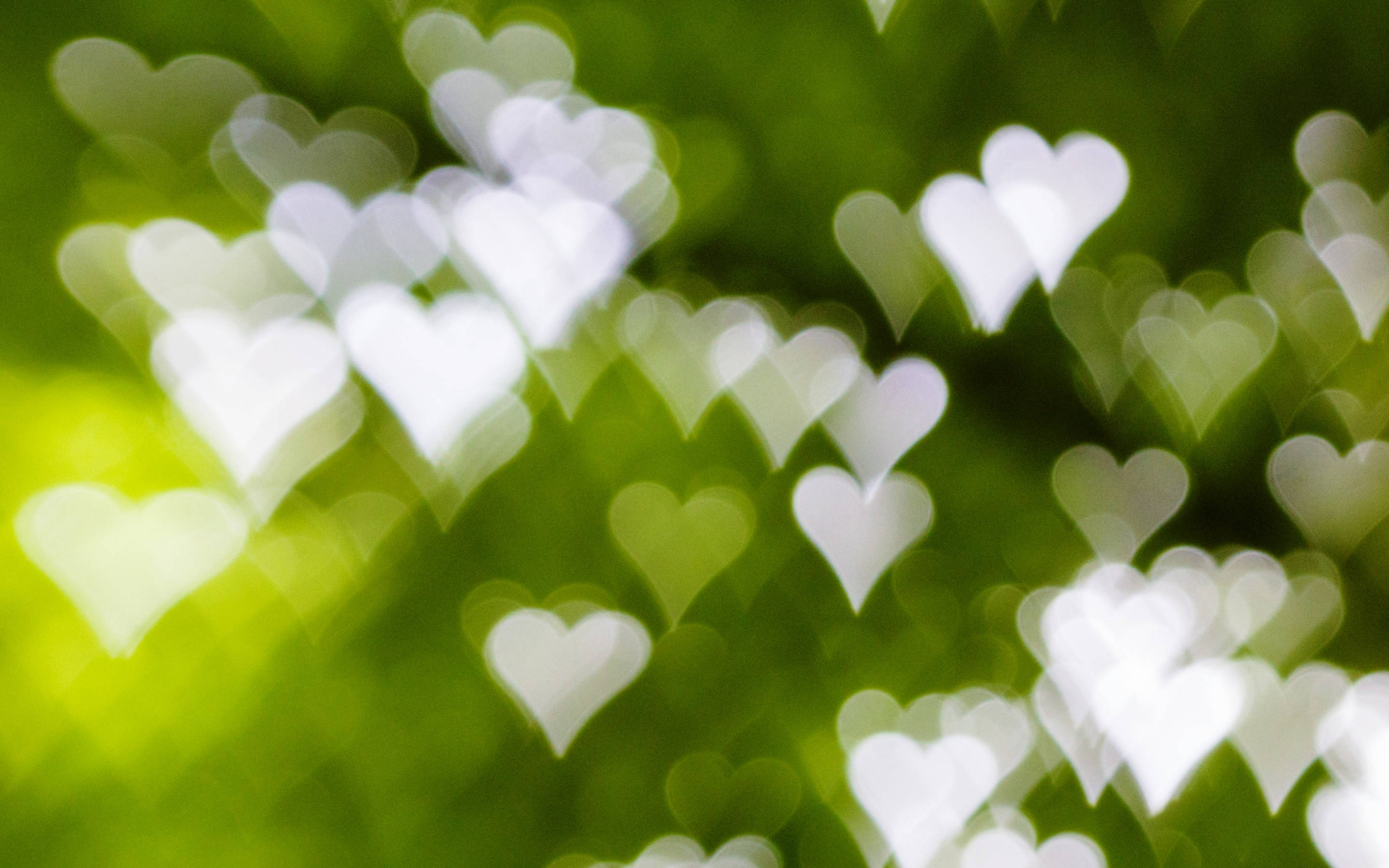 Green Hearts, soft white heart-shaped bokeh lights, vibrant green blurred background, 2K Desktop Wallpaper