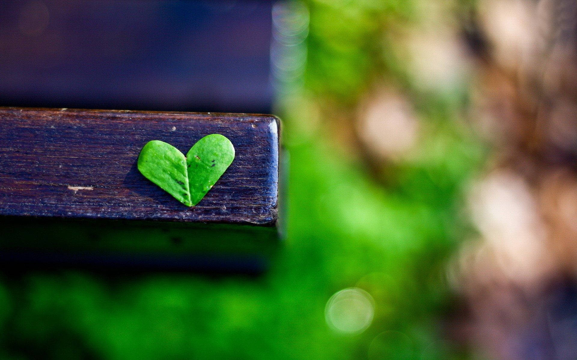 Green Heart Leaf, heart-shaped green leaf, dark wooden bench, Full HD Desktop Wallpaper