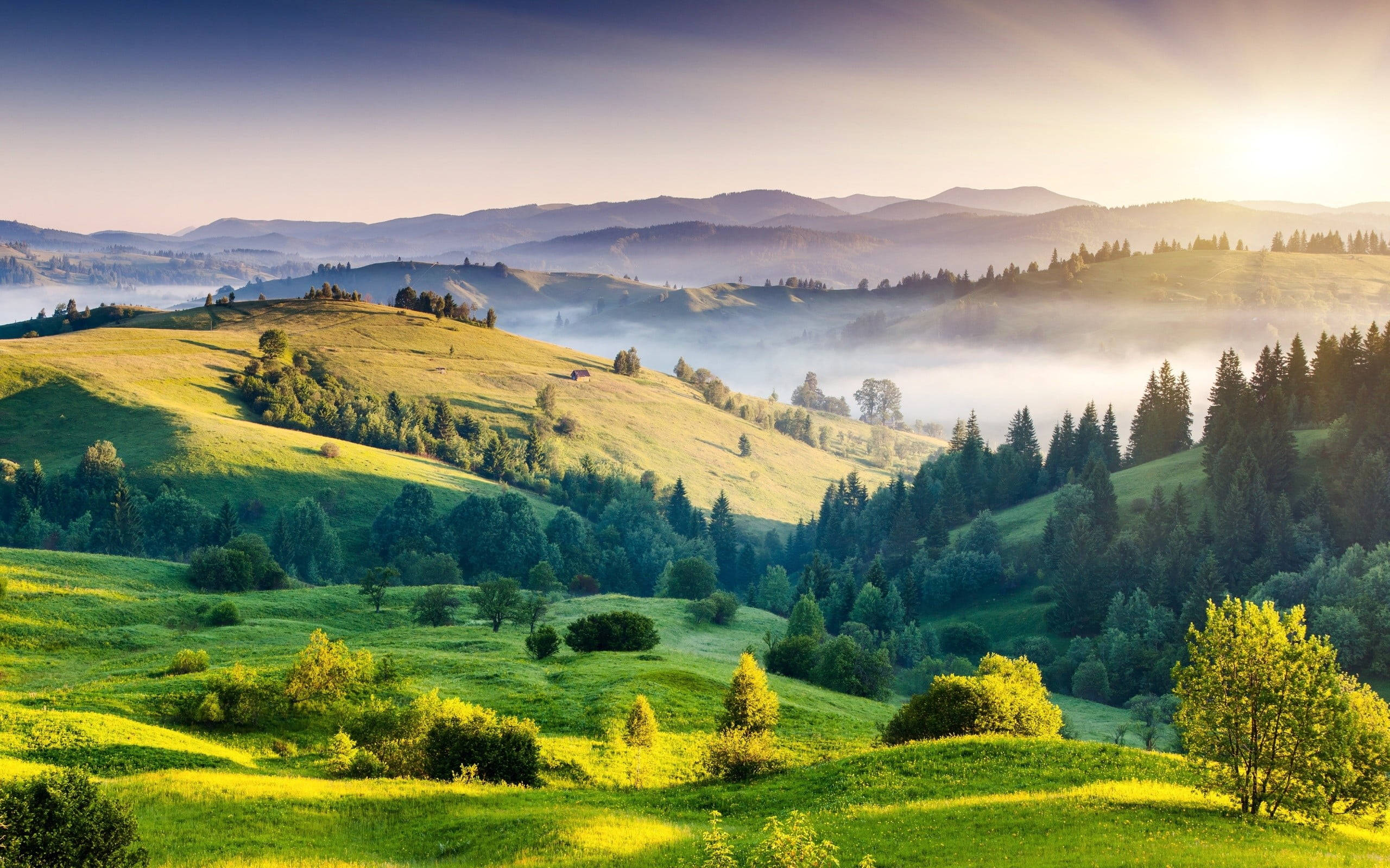 Forested Green Hills, rolling green hills, forests, 2K Desktop Wallpaper