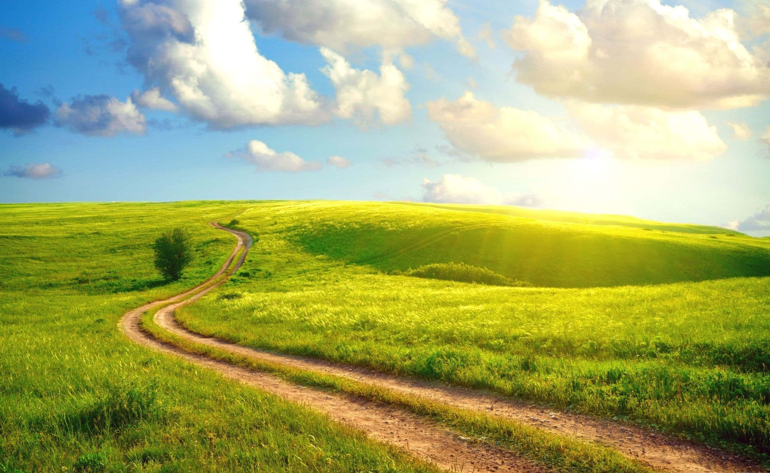 Green Hill Zone, winding dirt path, vibrant green rolling hills, 2K Desktop Wallpaper