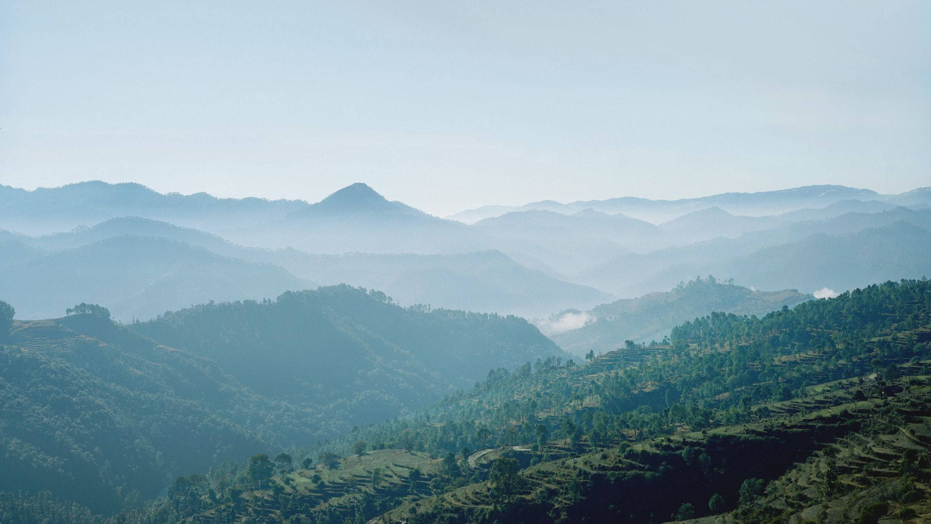 Green Trees Mountain Slope, layered mountain ranges, mist, Full HD Desktop Wallpaper