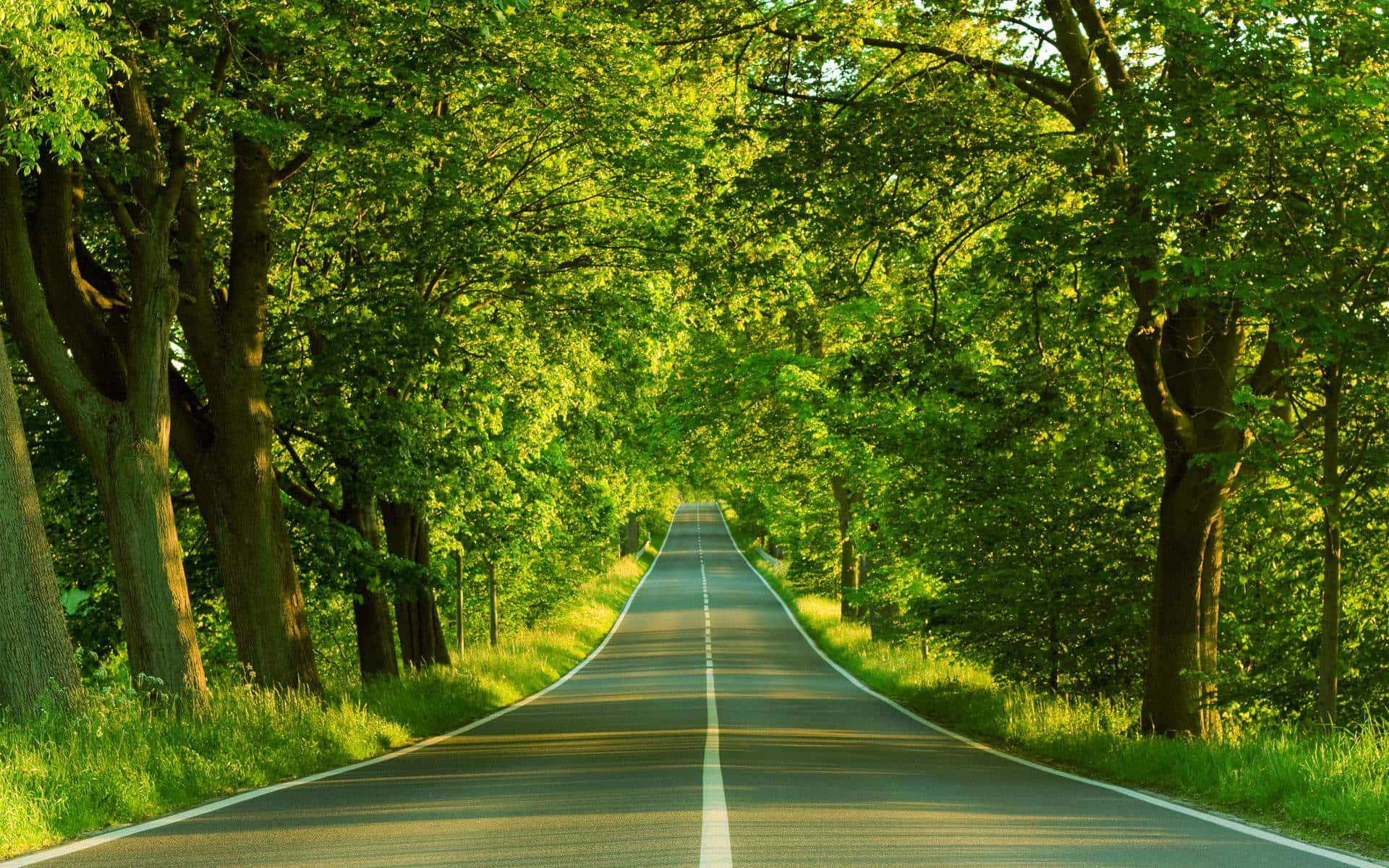 Green Hill Zone, rolling hills, vibrant green trees, Full HD Desktop Wallpaper