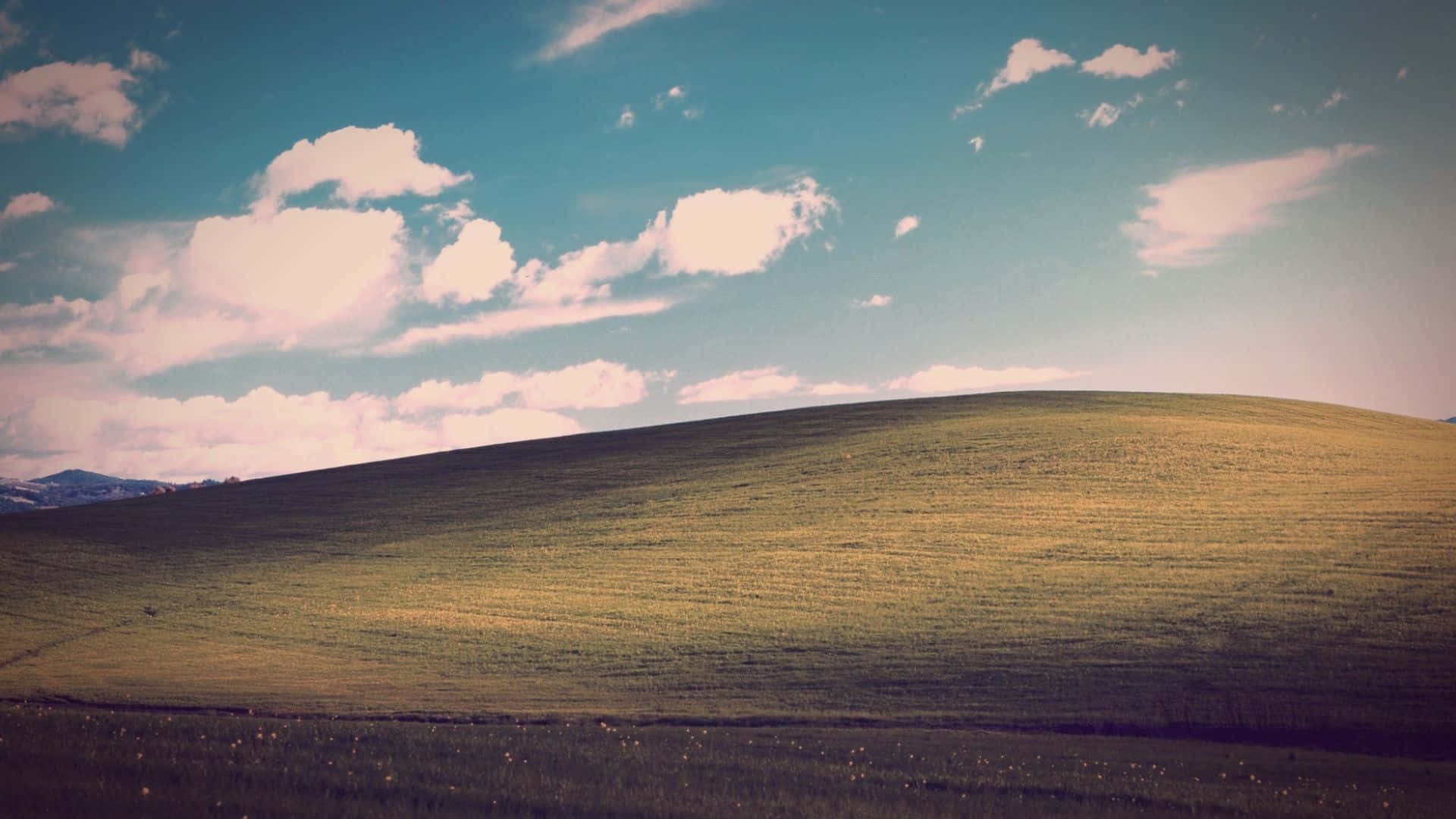 Blissful Rolling Green Hills, rolling green hill, bright blue sky, Full HD Desktop Wallpaper