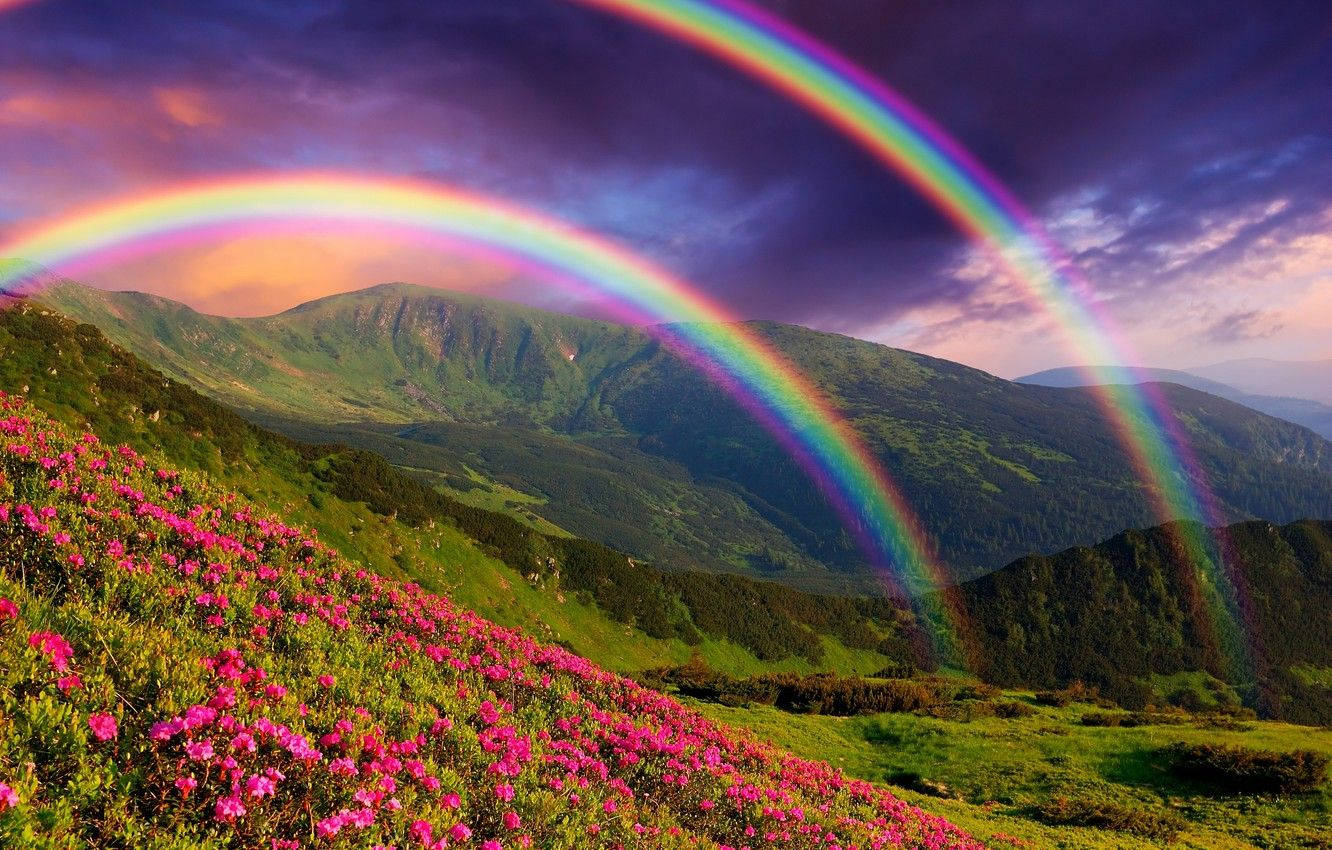 Green Hill, twin rainbows, mountain valley, HD Desktop Wallpaper