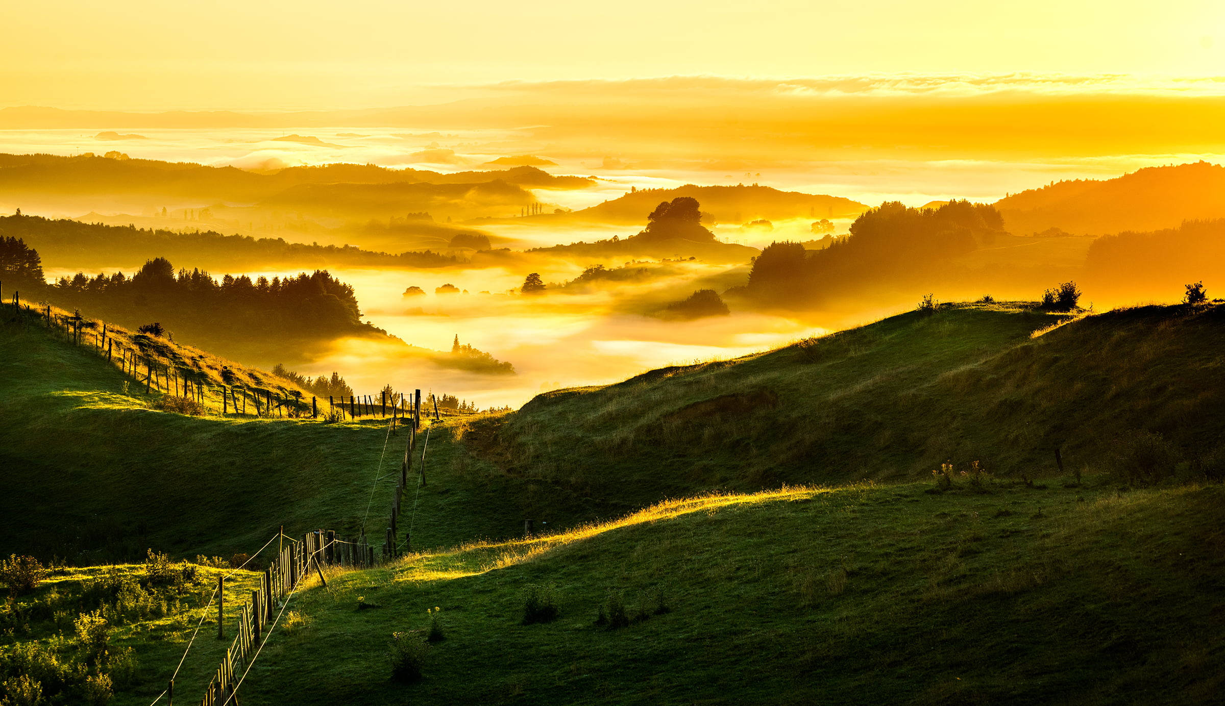 Green Hill, golden sunrise, rolling green hills, Full HD Desktop Wallpaper