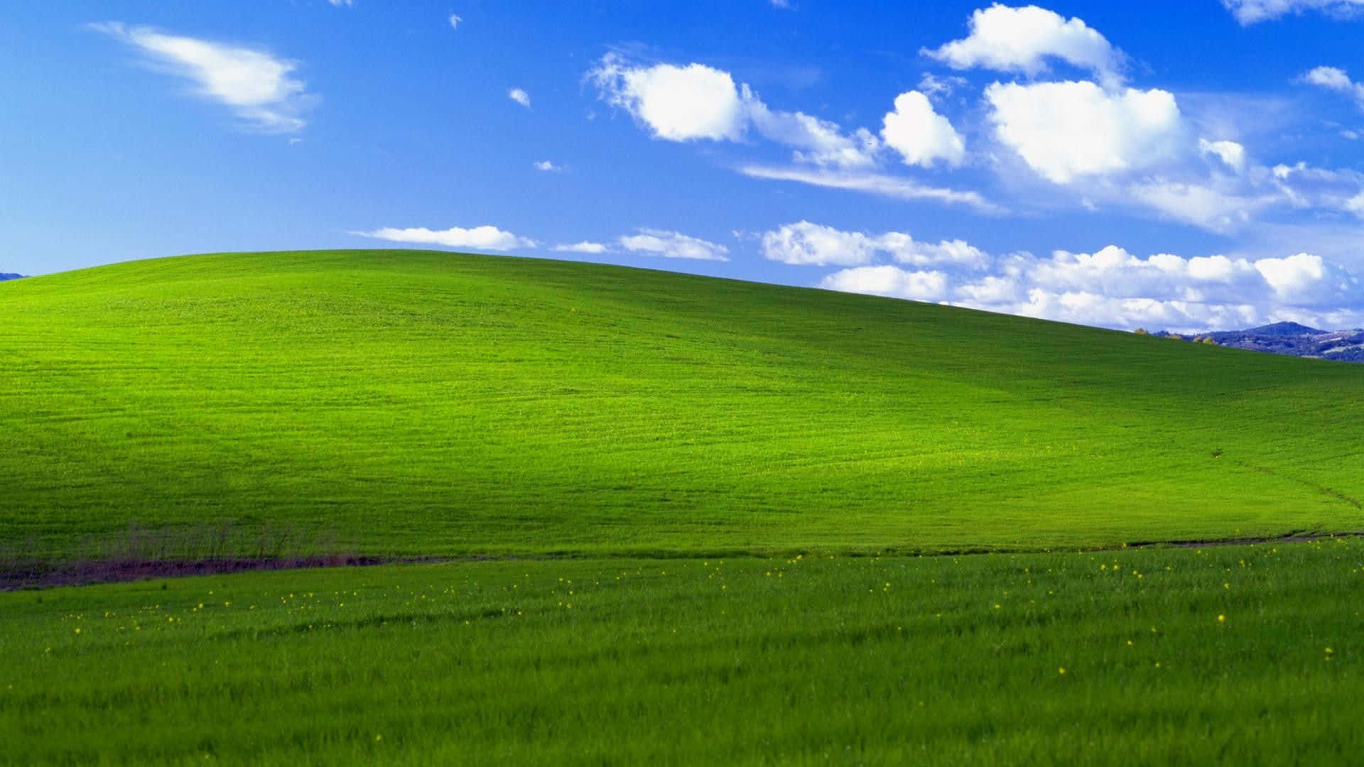 Green Hill, blue sky, fluffy white clouds, Full HD Desktop Wallpaper