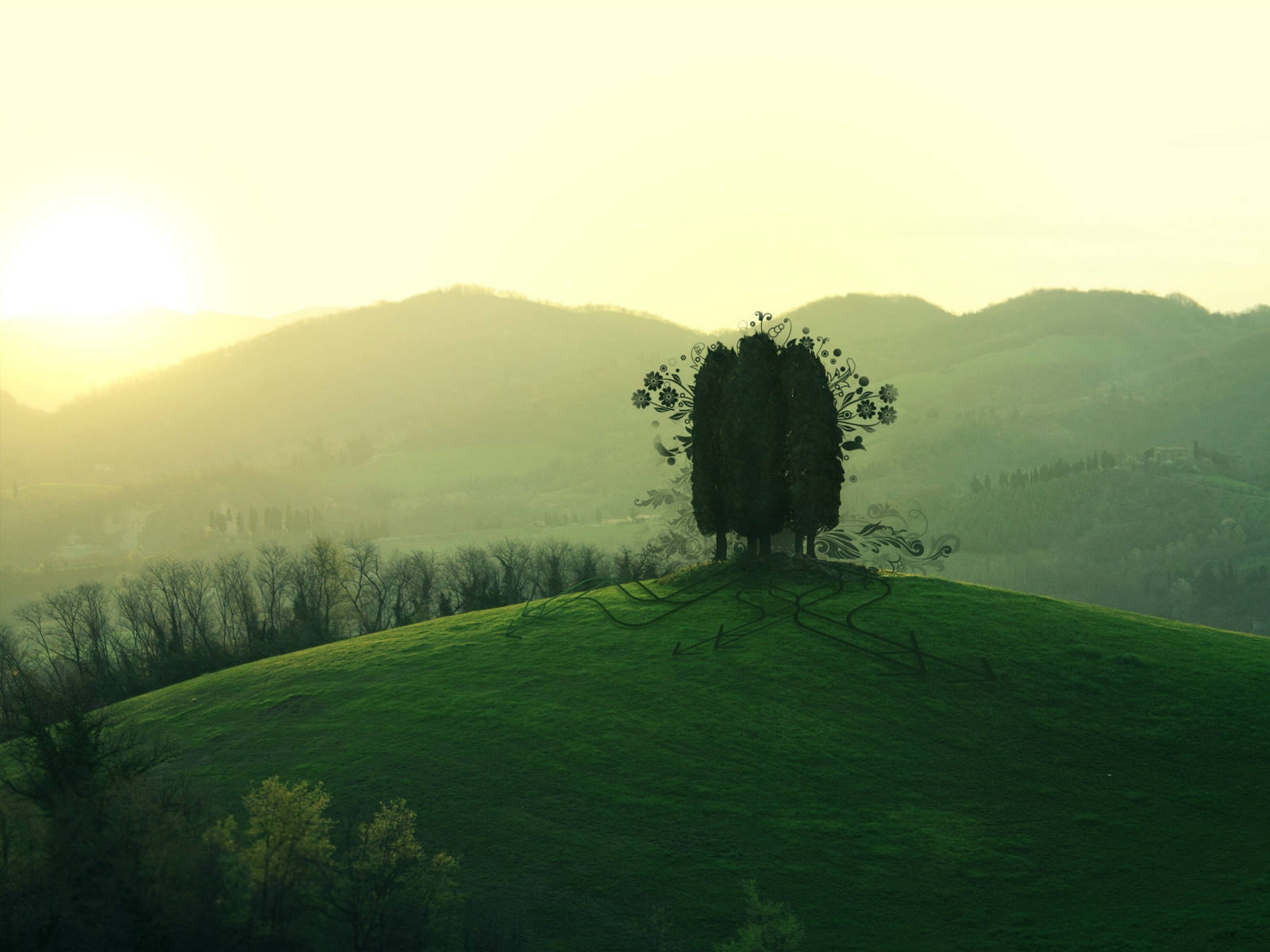Dark Green Hill View, stylized tree, swirling branches, HD Desktop Wallpaper