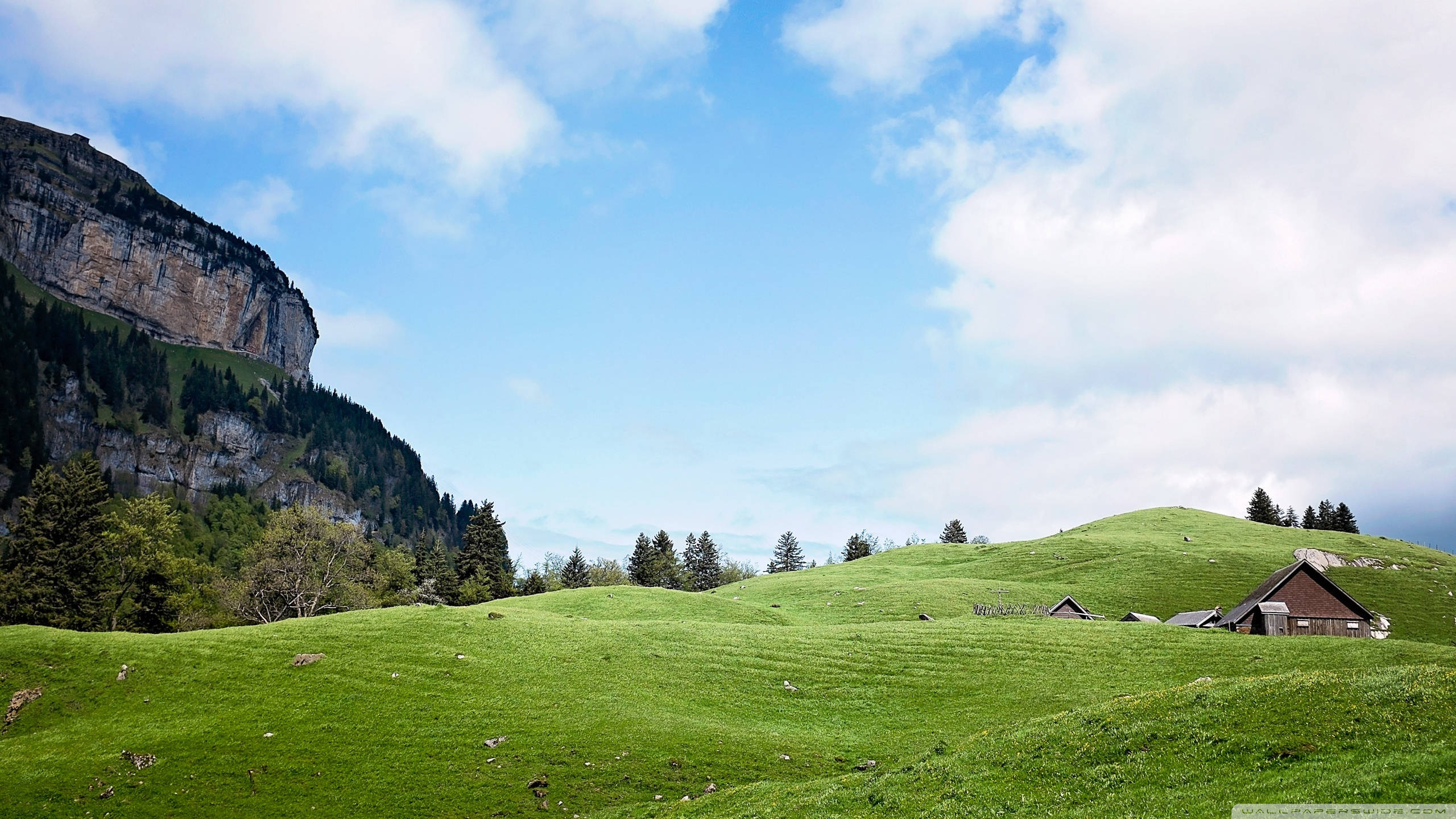 alpine meadow, lush green hills, rustic wooden cabins, 2K Desktop Wallpaper