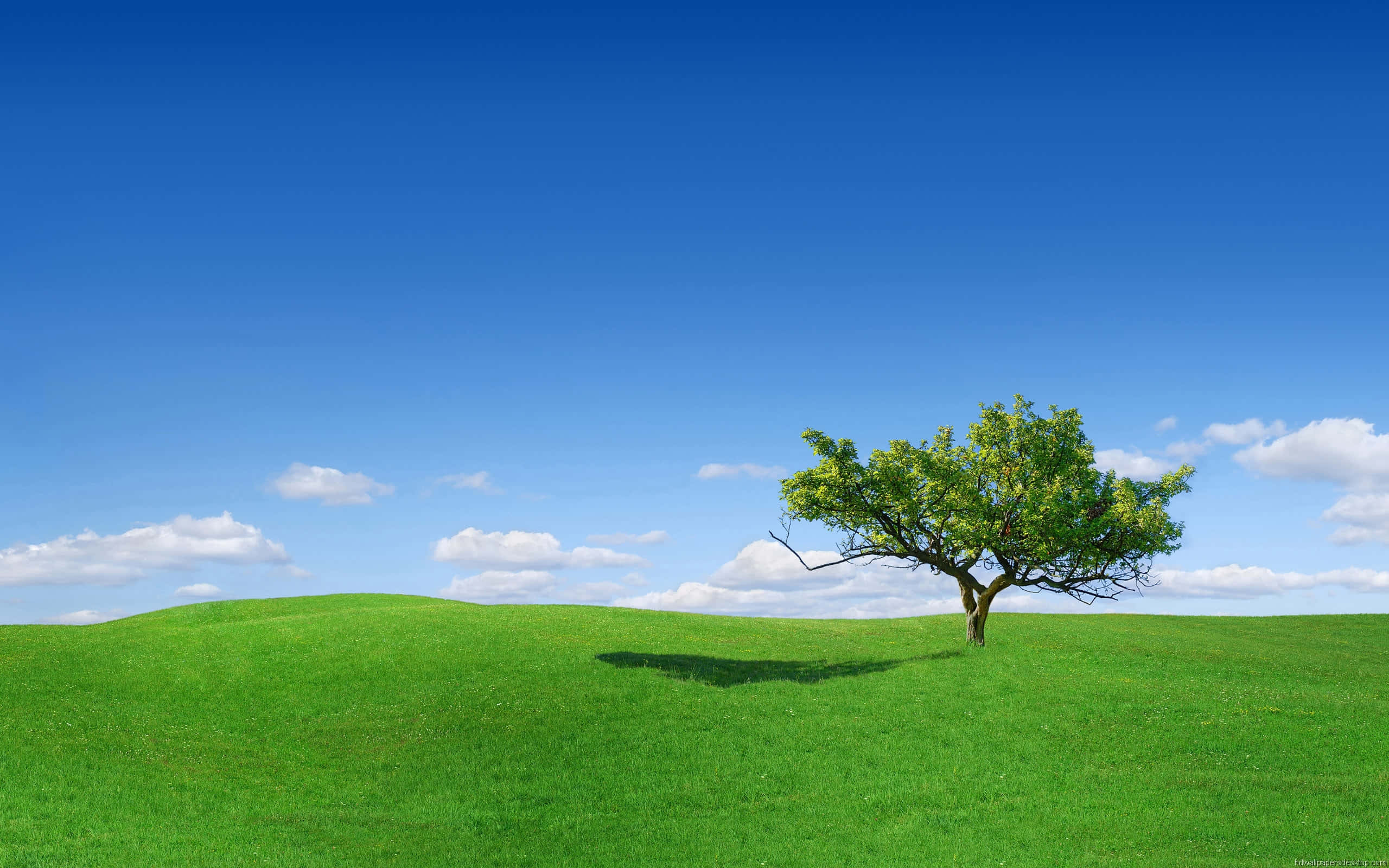 Green Landscape, rolling hills, vibrant green hill, 2K Desktop Wallpaper