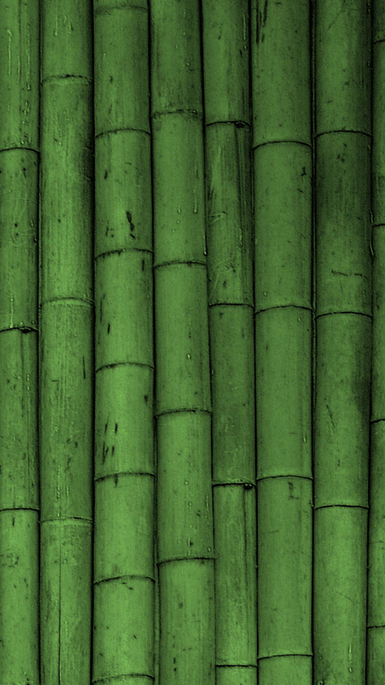 Green iPhone, bamboo wall, vertical green bamboo stalks, HD Phone Wallpaper