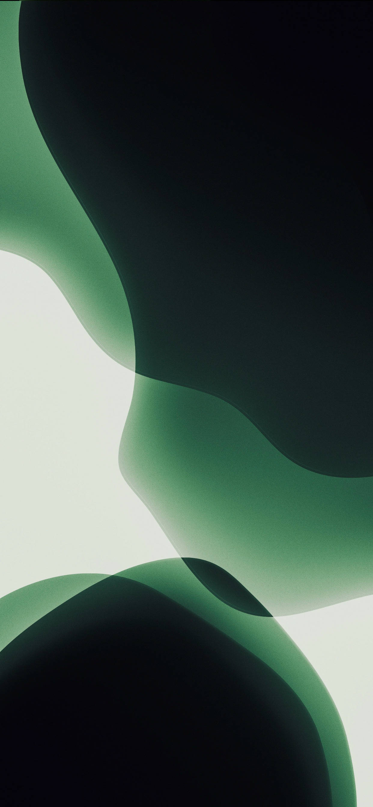 Green iPhone, abstract flowing green and black organic shapes, pale background, 2K Phone Wallpaper