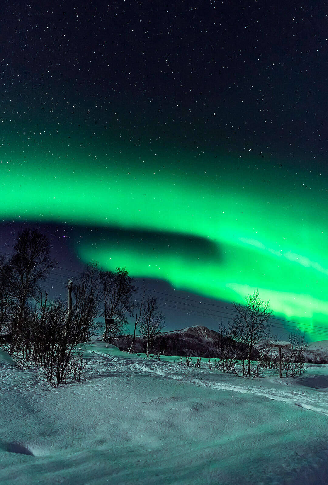 Green iPhone, aurora borealis, snow-covered landscape, HD Phone Wallpaper