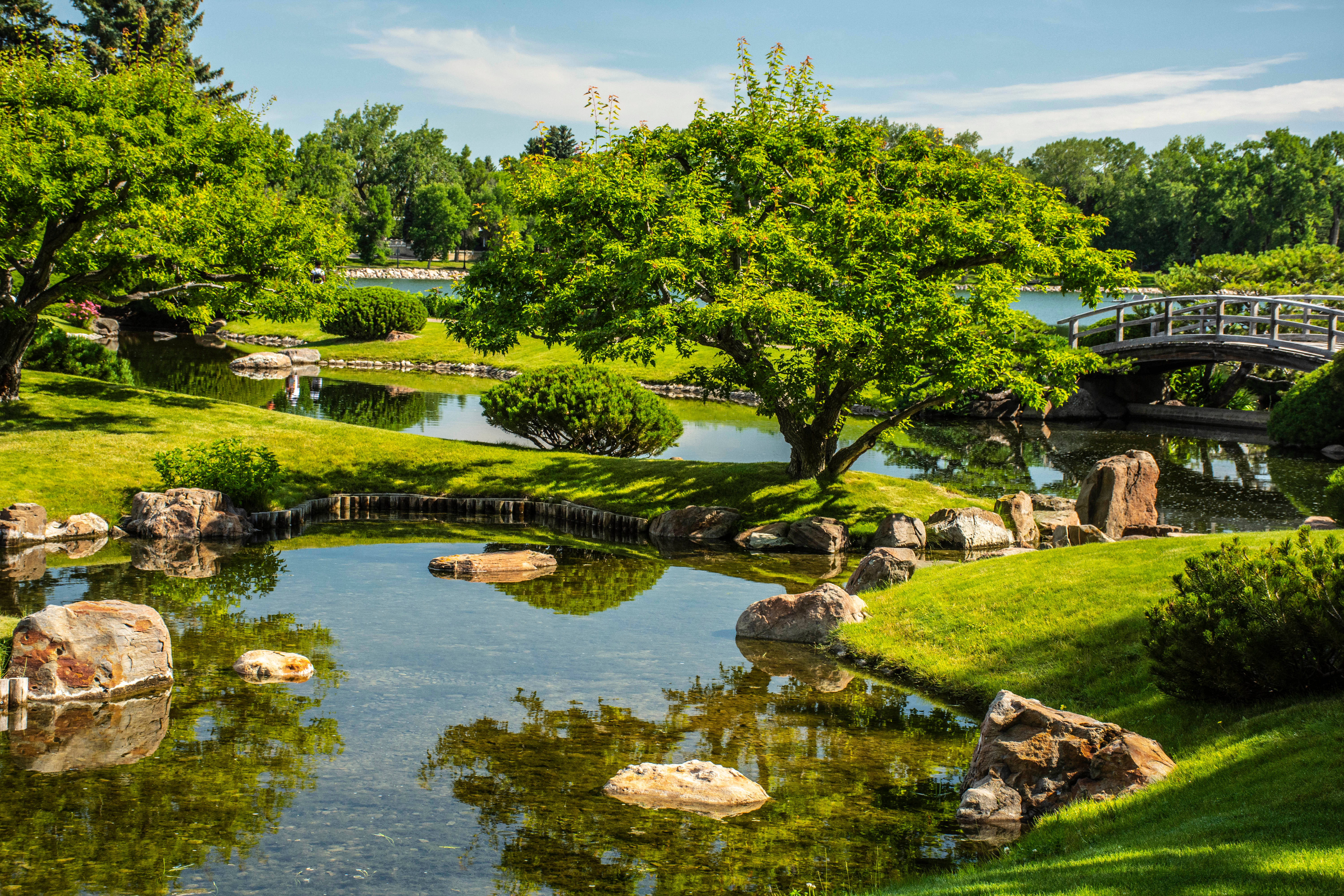 Japanese garden pond, lush green trees, rocks, 5K Desktop Wallpaper