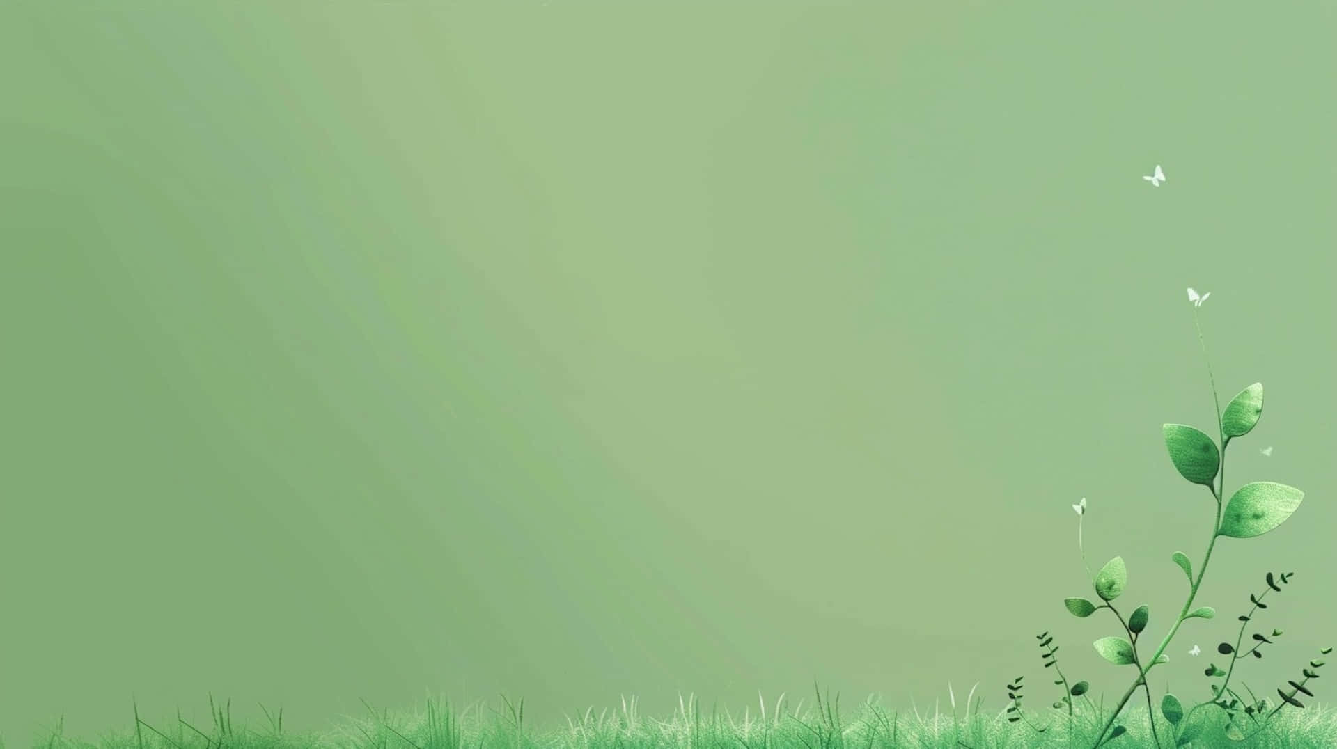 Green Nature Aesthetic Background, soft gradient green, delicate grass blades, Full HD Desktop Wallpaper
