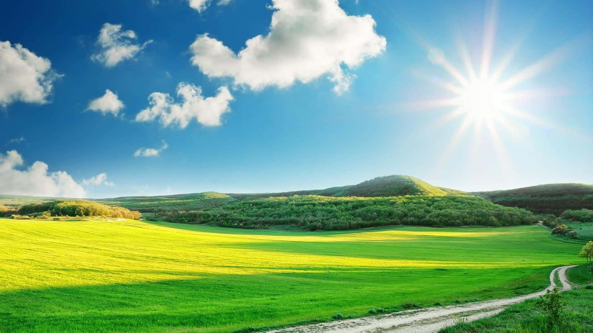 Sunny Green Landscape Scenery, rolling green hills, golden field, Full HD Desktop Wallpaper