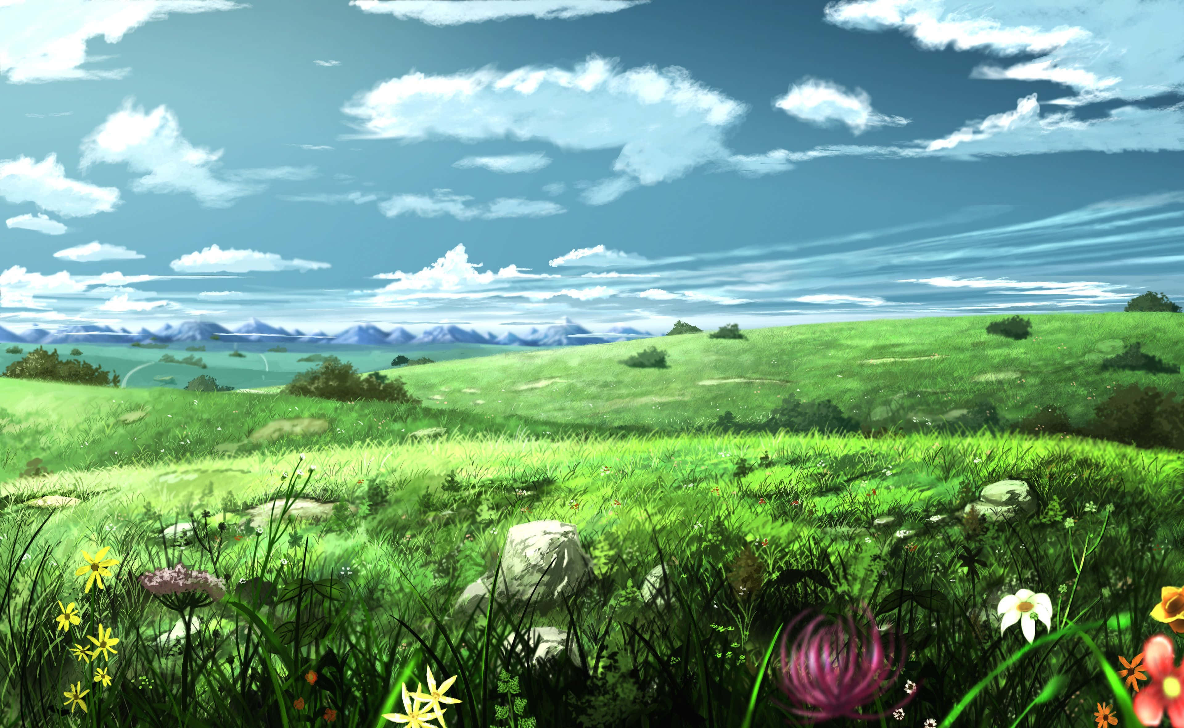 green landscape, vibrant green meadow, wildflowers, 4K Desktop Wallpaper