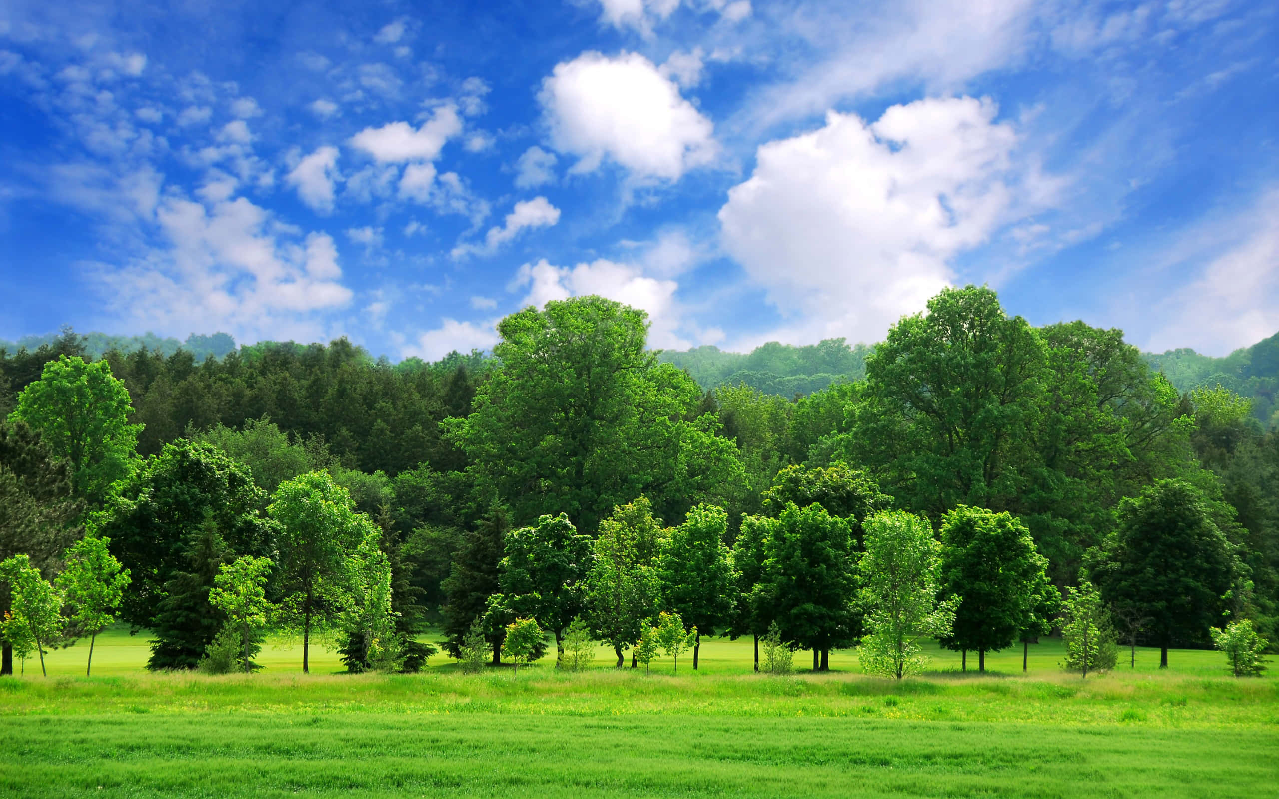 Green Landscape, 2560 x 1600, vibrant green meadow, 2K Desktop Wallpaper
