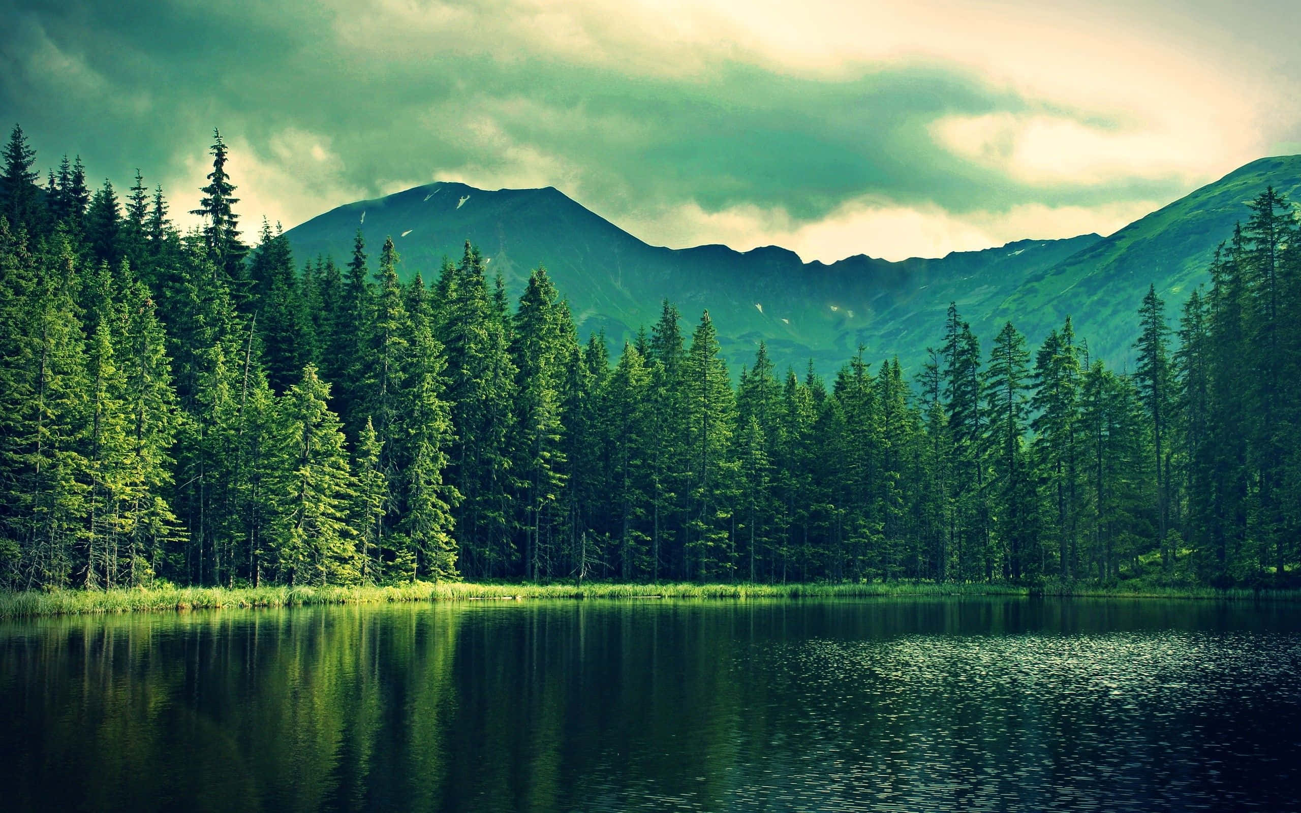 Green Landscape, 2560 x 1600, mountain lake, 2K Desktop Wallpaper