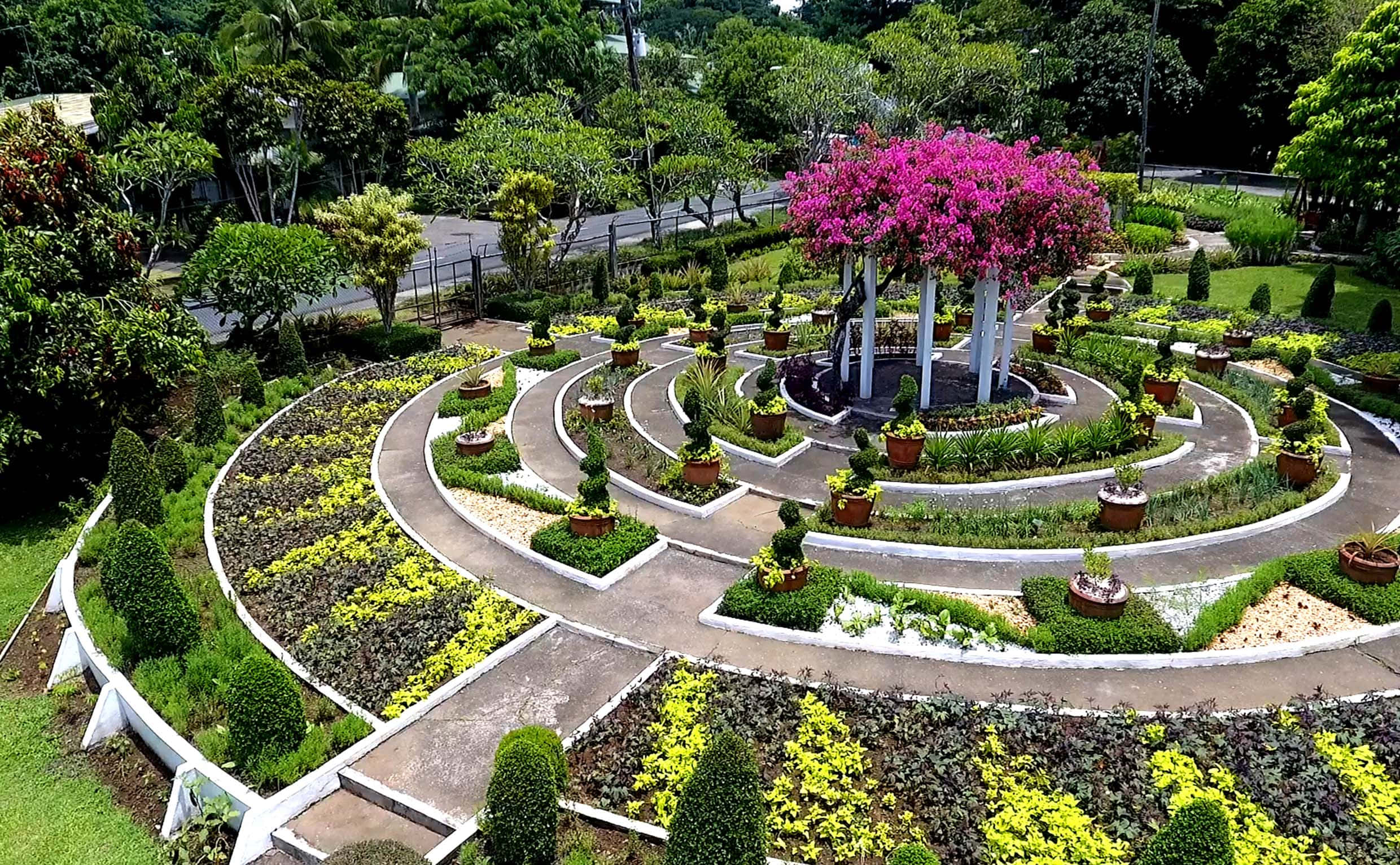 green landscape, vibrant spiral garden, pink flowering tree, Full HD Desktop Wallpaper