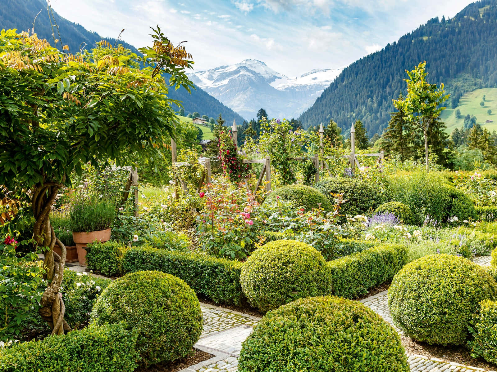 alpine garden, manicured hedges, blooming flowers, HD Desktop Wallpaper