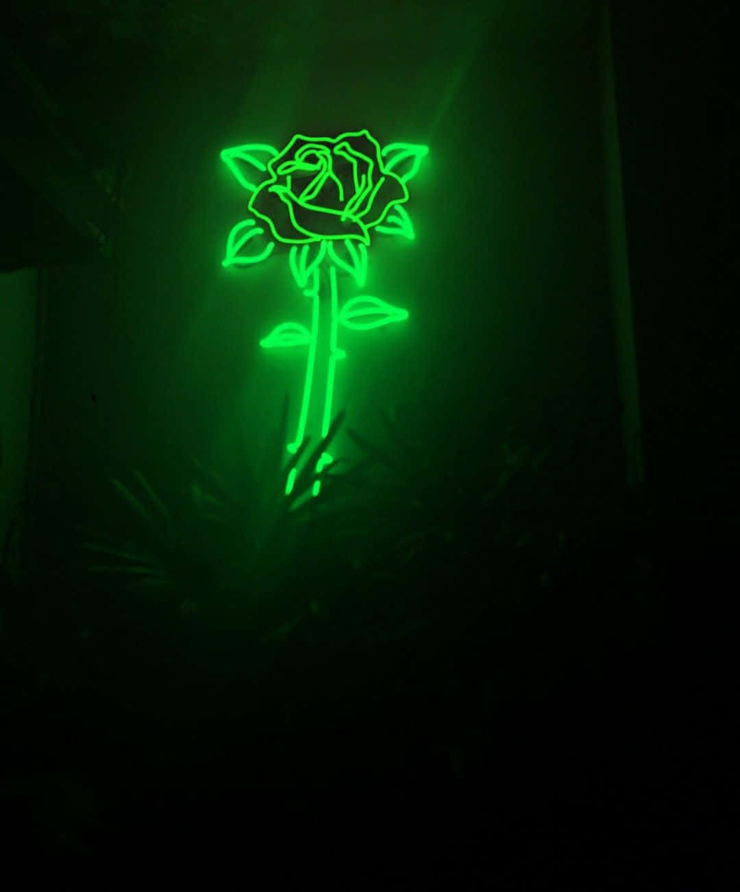 Green LED, rose, glowing green neon sign, HD Phone Wallpaper