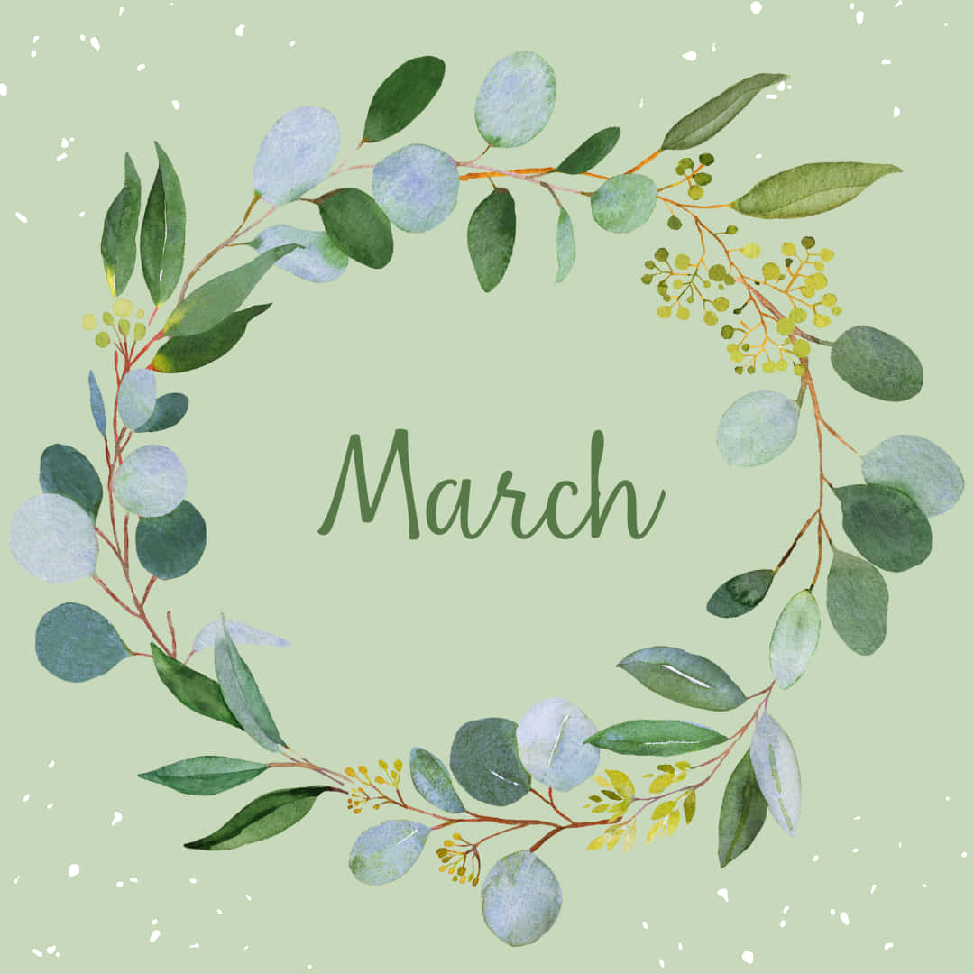 March, eucalyptus wreath, yellow blossoms, SD Desktop Wallpaper