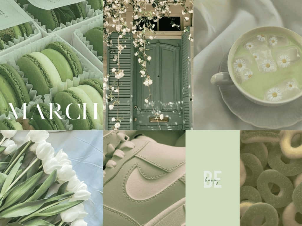 Green March Collage Aesthetic, pastel green, macarons, SD Desktop Wallpaper