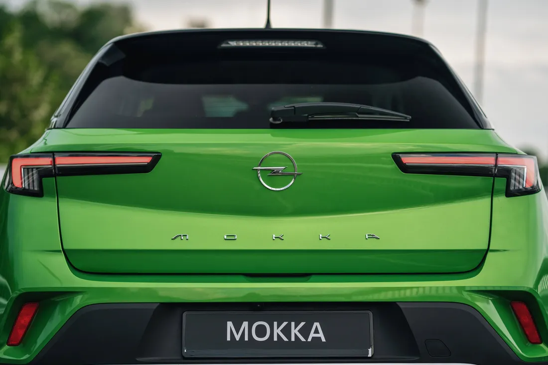 Green Minimalist