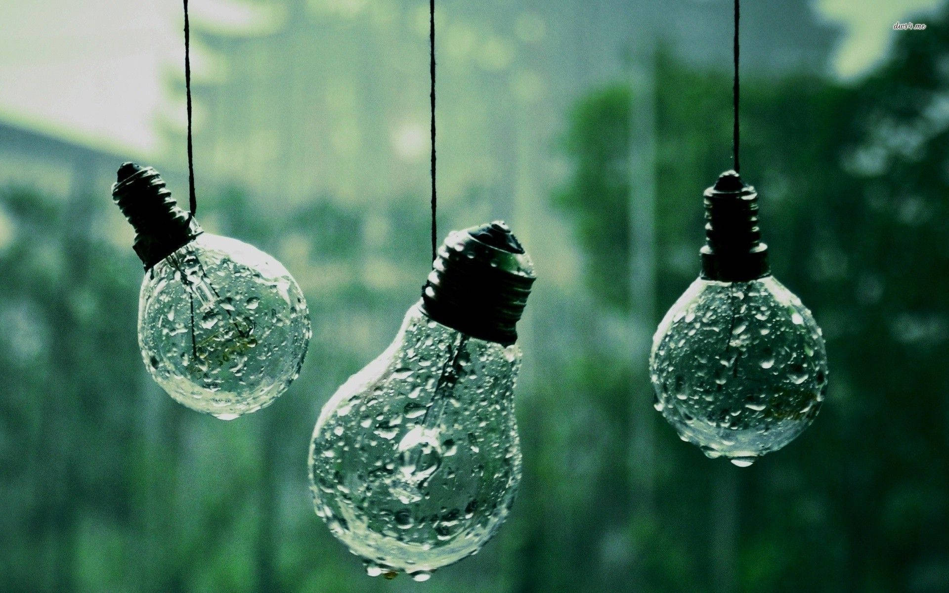wet bulb lights, hanging light bulbs, rain-drenched, Full HD Desktop Wallpaper