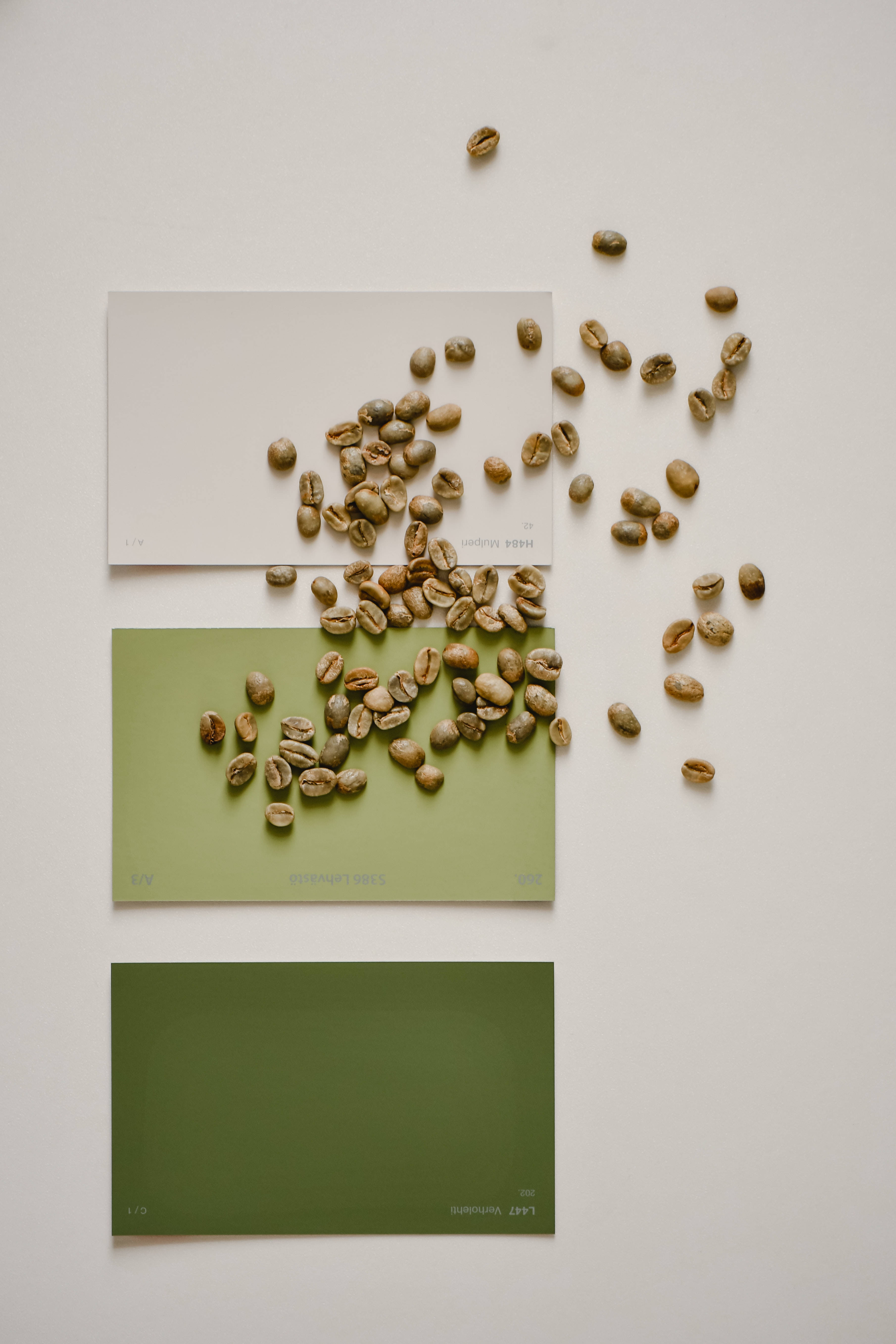 green minimalist photography backdrop, green coffee beans, three stacked color swatches, 5K Phone Wallpaper