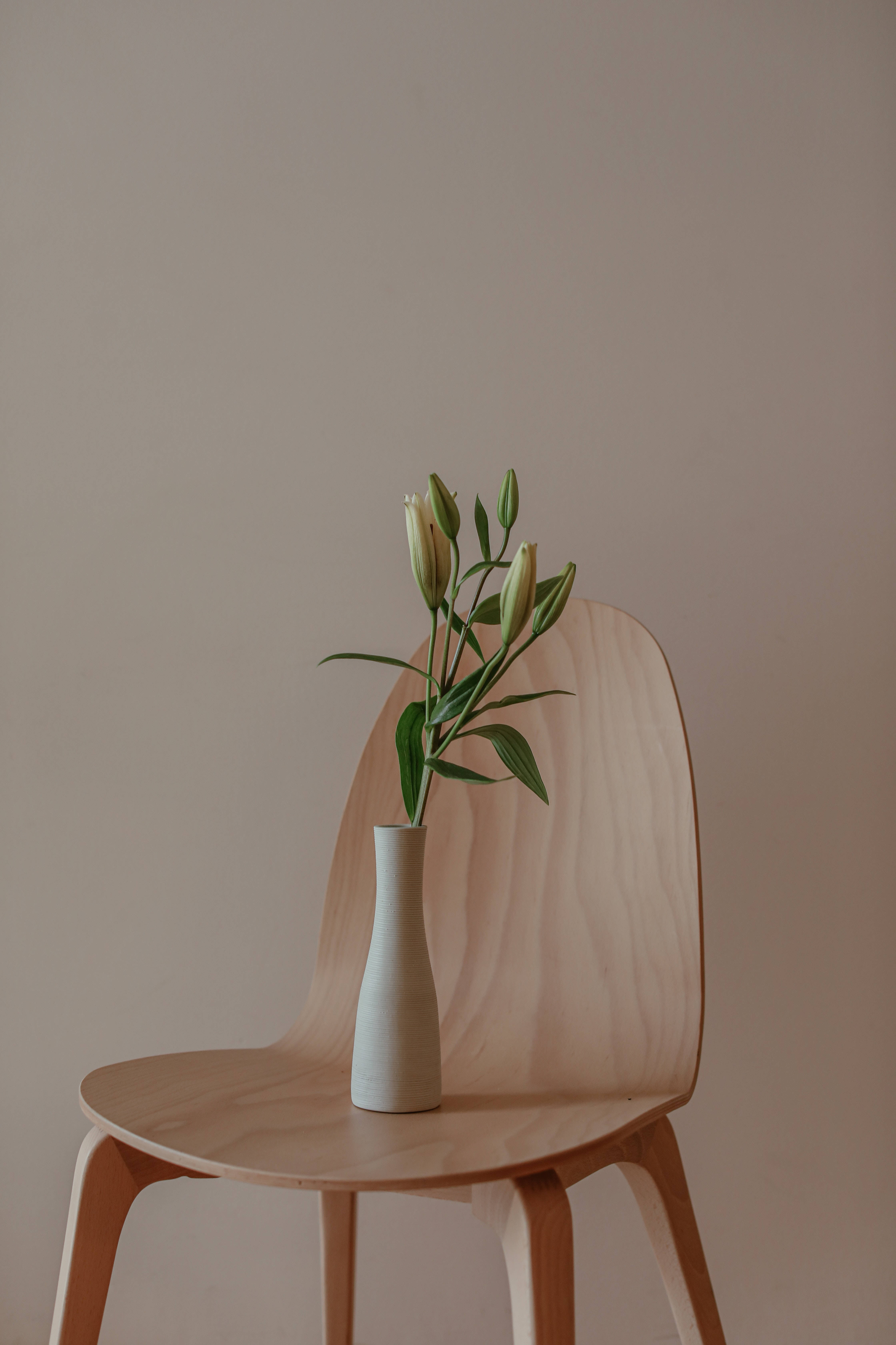 minimalist wooden chair, white vase, green lily buds, 5K Phone Wallpaper