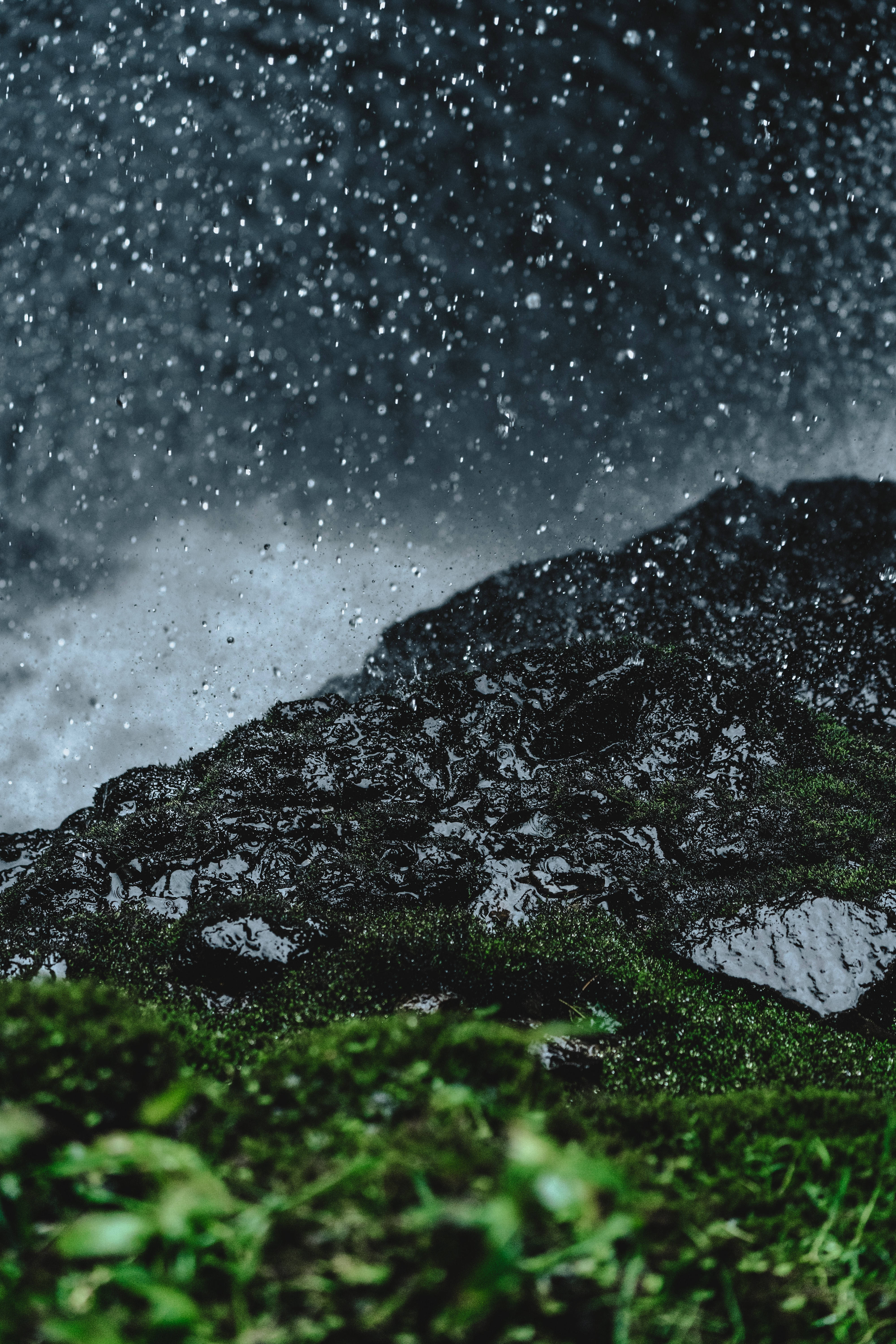 raindrops, mossy rock face, stormy gray sky, 5K Phone Wallpaper