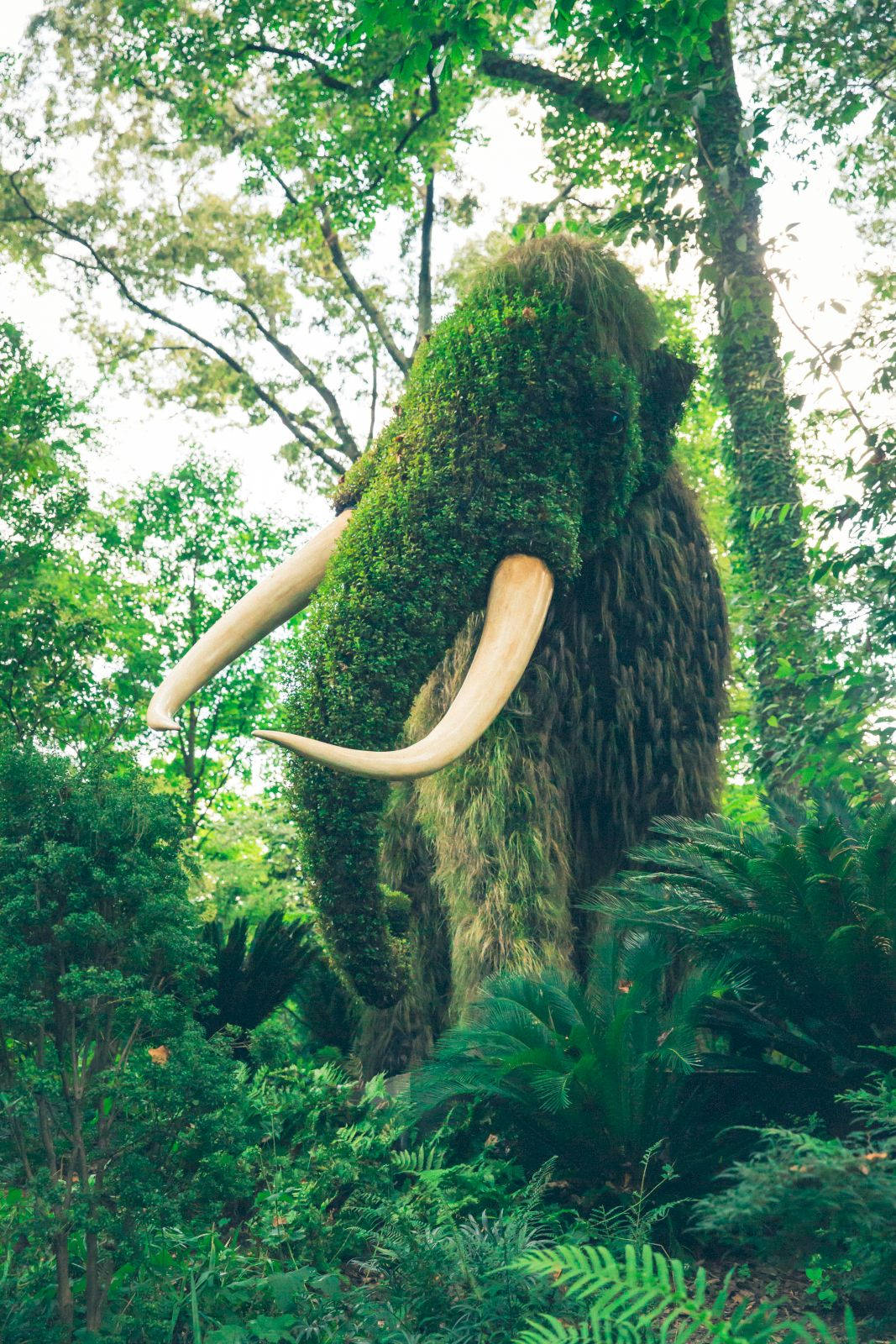 moss-covered mammoth sculpture, lush green forest, ferns, HD Phone Wallpaper