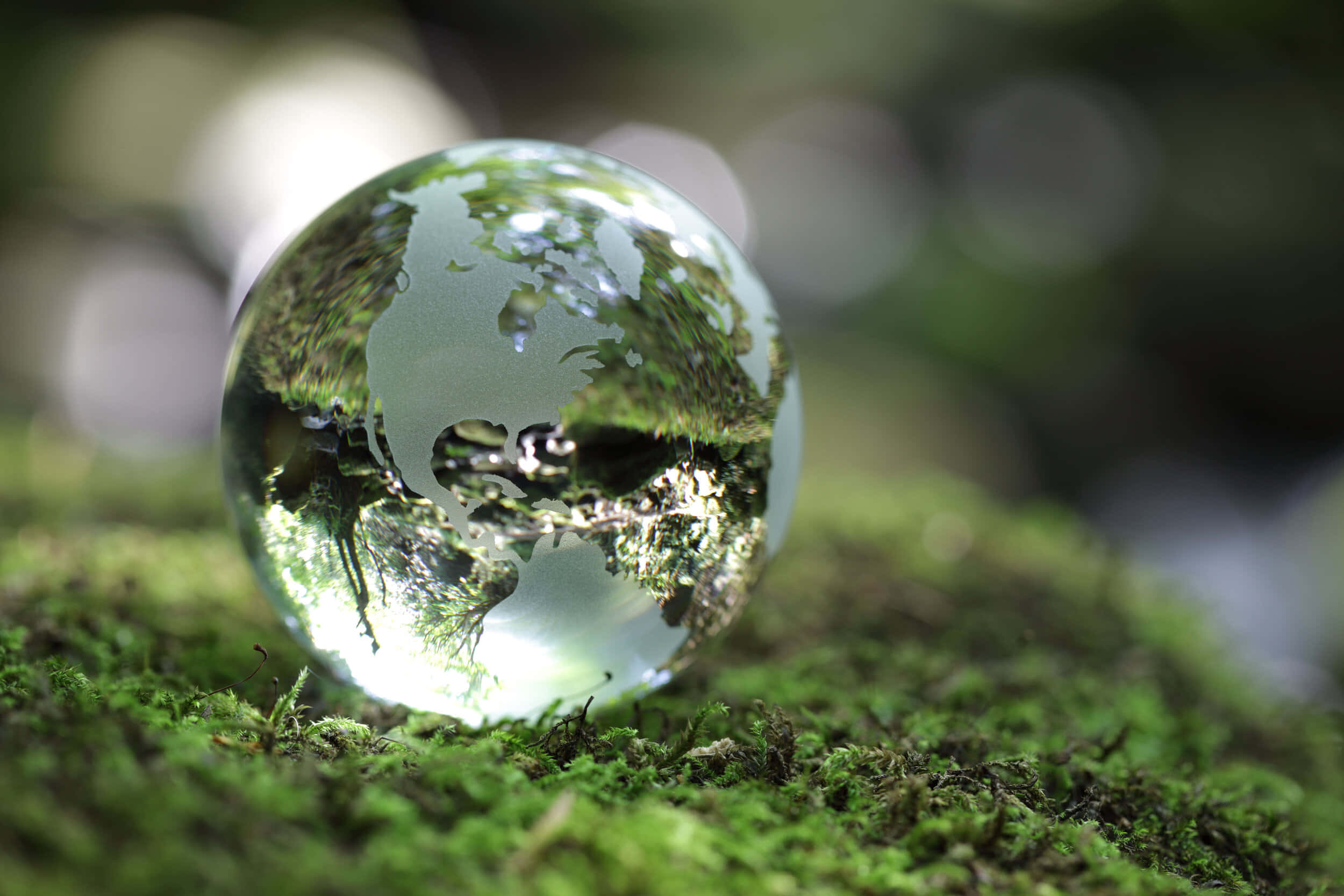 Crystal Sphereon Moss, clear glass sphere, vibrant green moss, Full HD Desktop Wallpaper