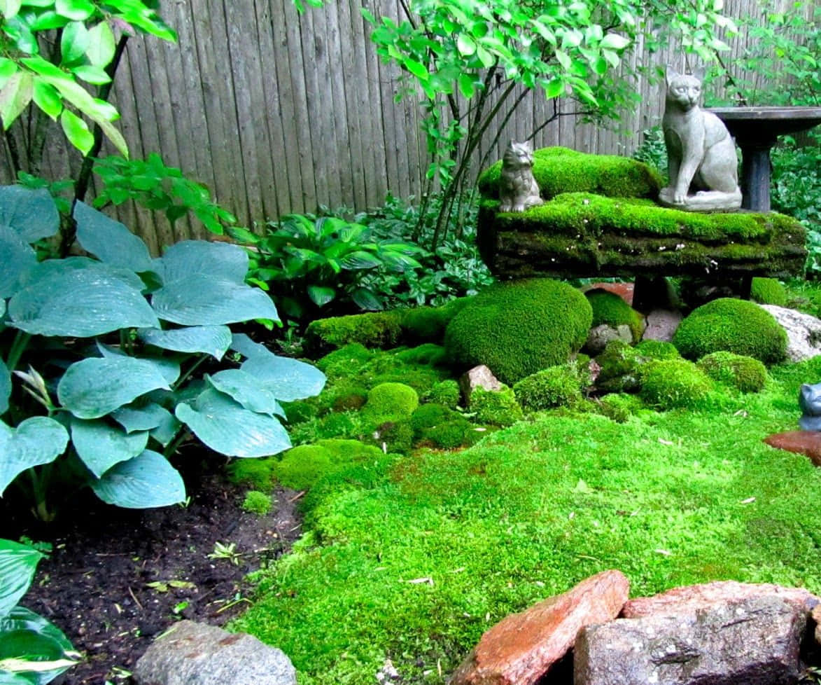 Green Moss, stone cat statues, hosta plants, SD Desktop Wallpaper