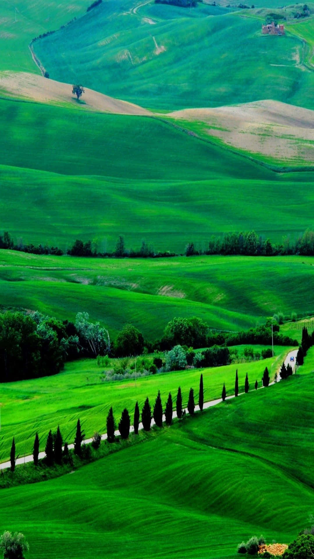 green rolling hills, bright sun, winding road, Full HD Phone Wallpaper
